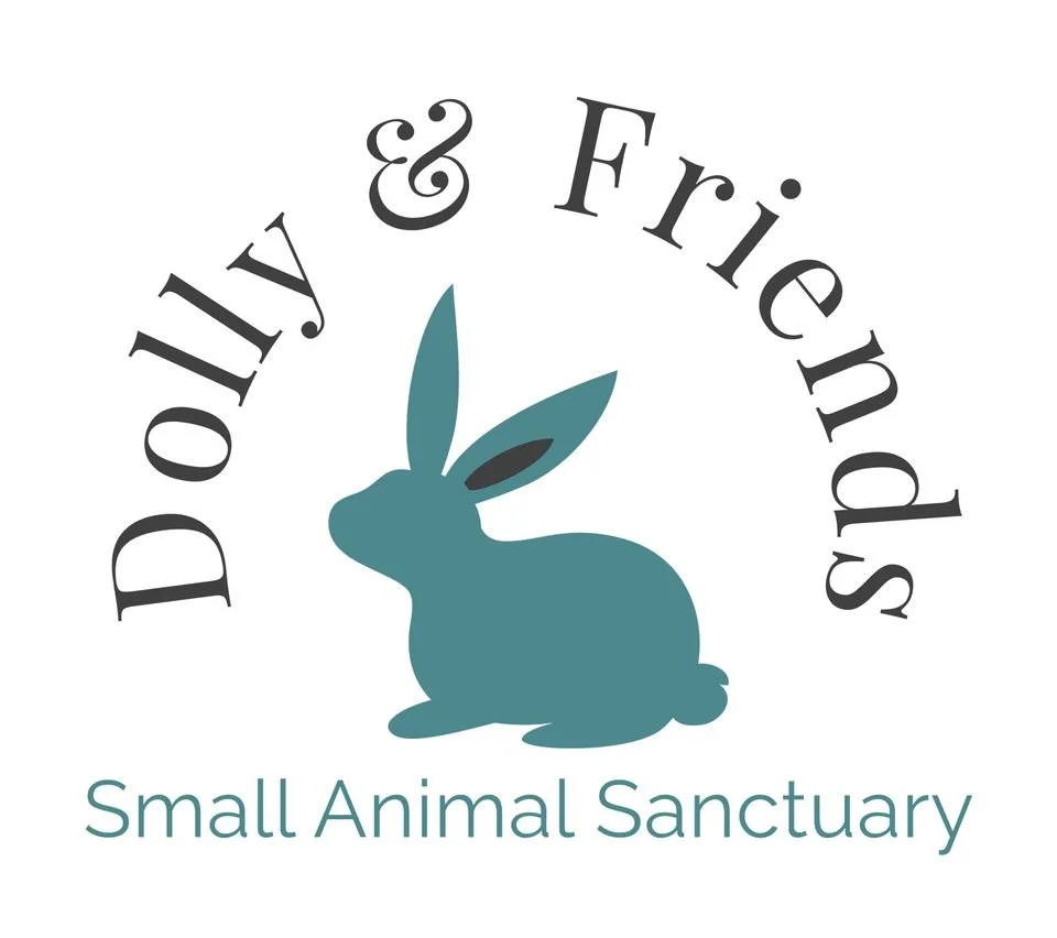 Dolly & Friends Small Animal Sanctuary, Inc.