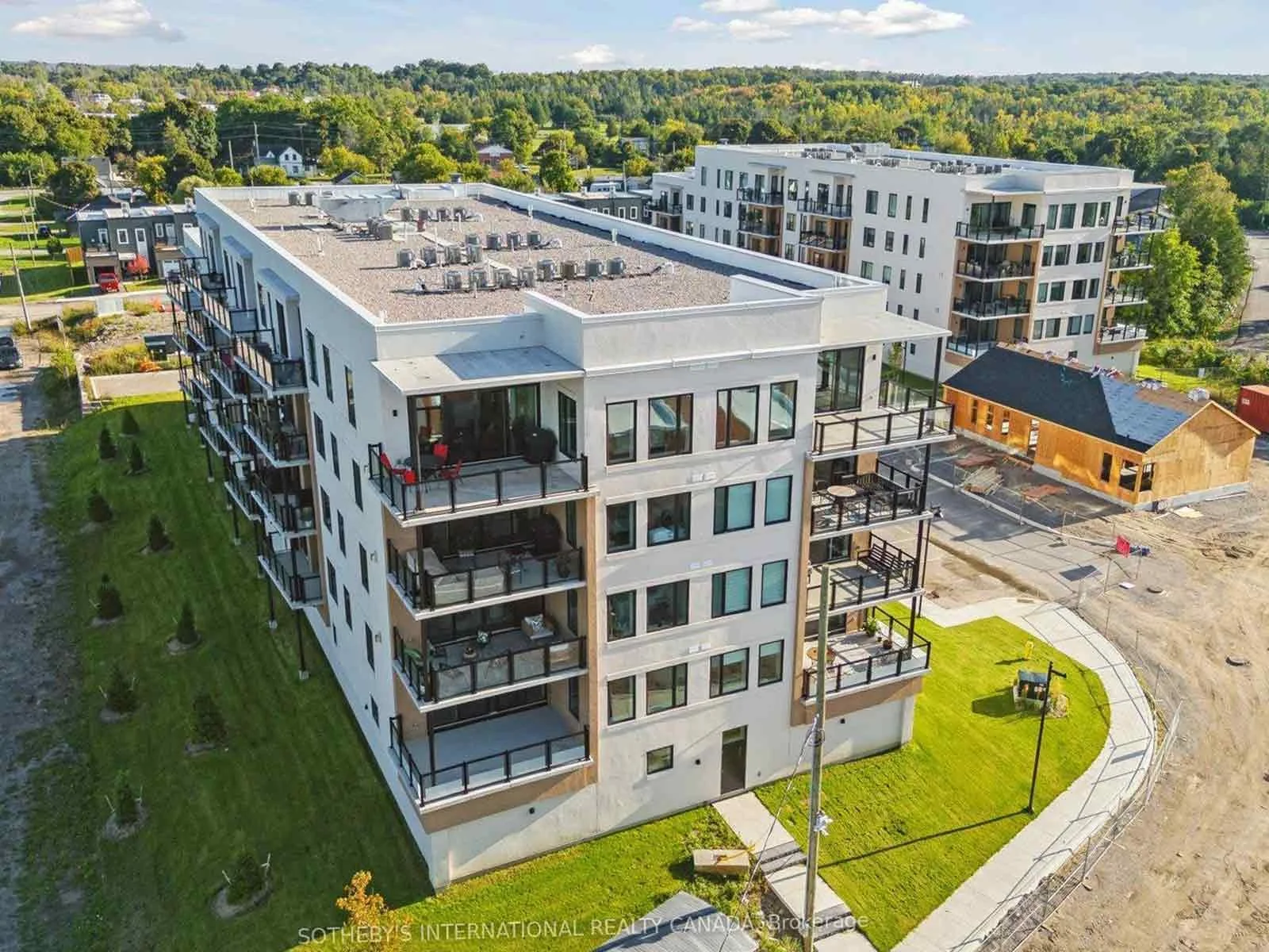 Cameron and Balsam v1.jpg