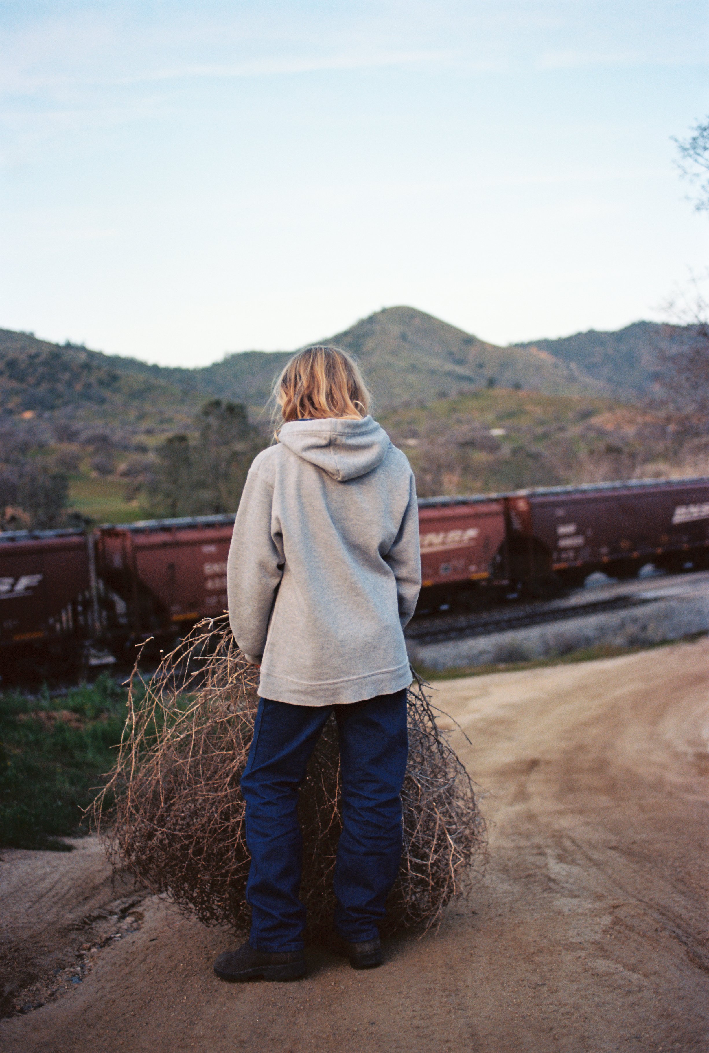 Cardboard & Copenhagen, ongoing (21 of 26)