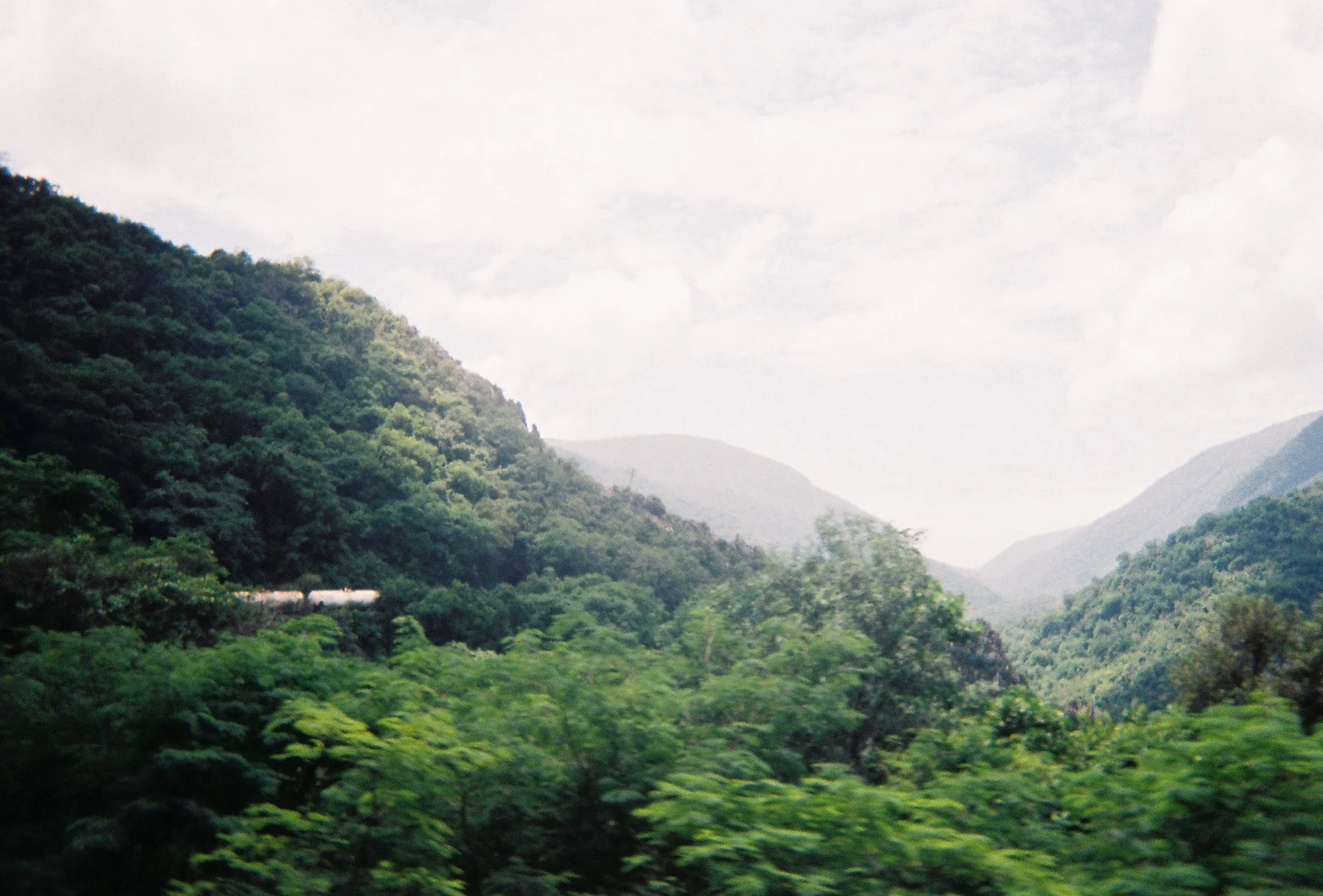 Cardboard & Copenhagen, ongoing (14 of 26)