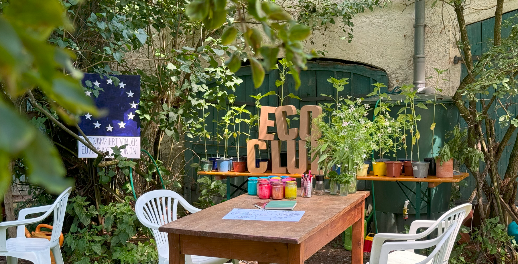 plants eco club projects decoration price herbs sunflowers.png