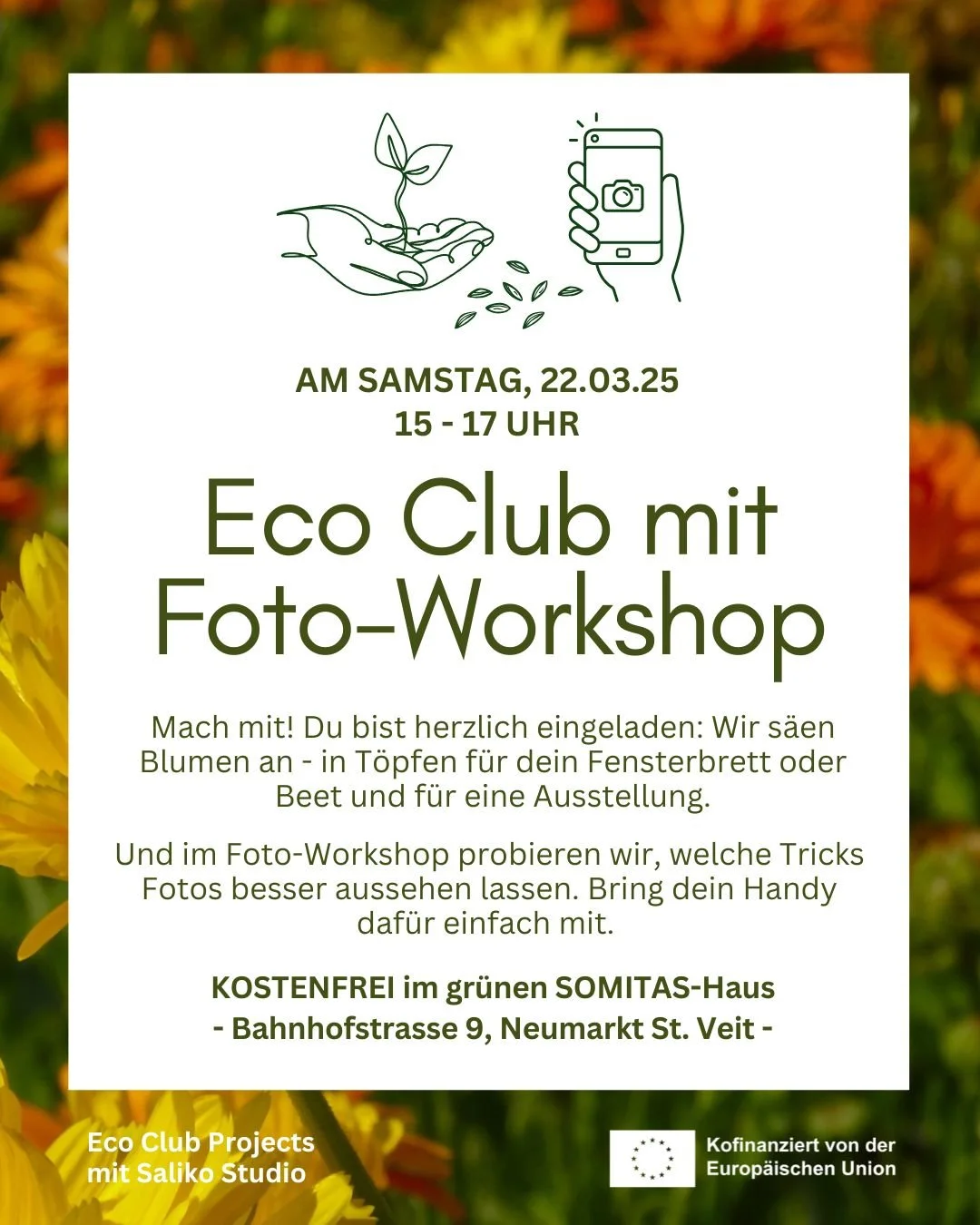 ecflyer4.jpeg