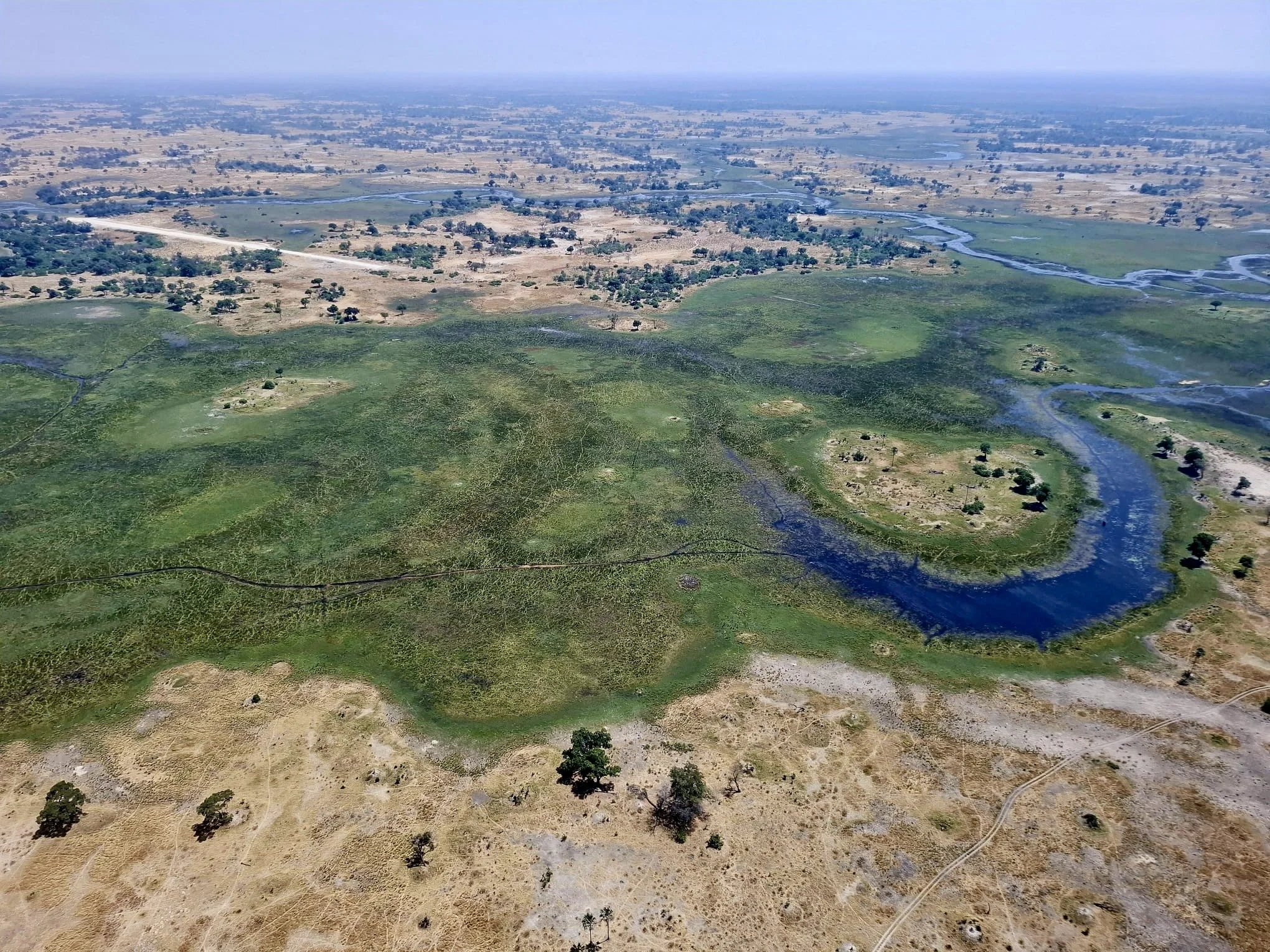 8ee48990-9b33-40b5-89b8-3cead70cbcb6 2.jpg