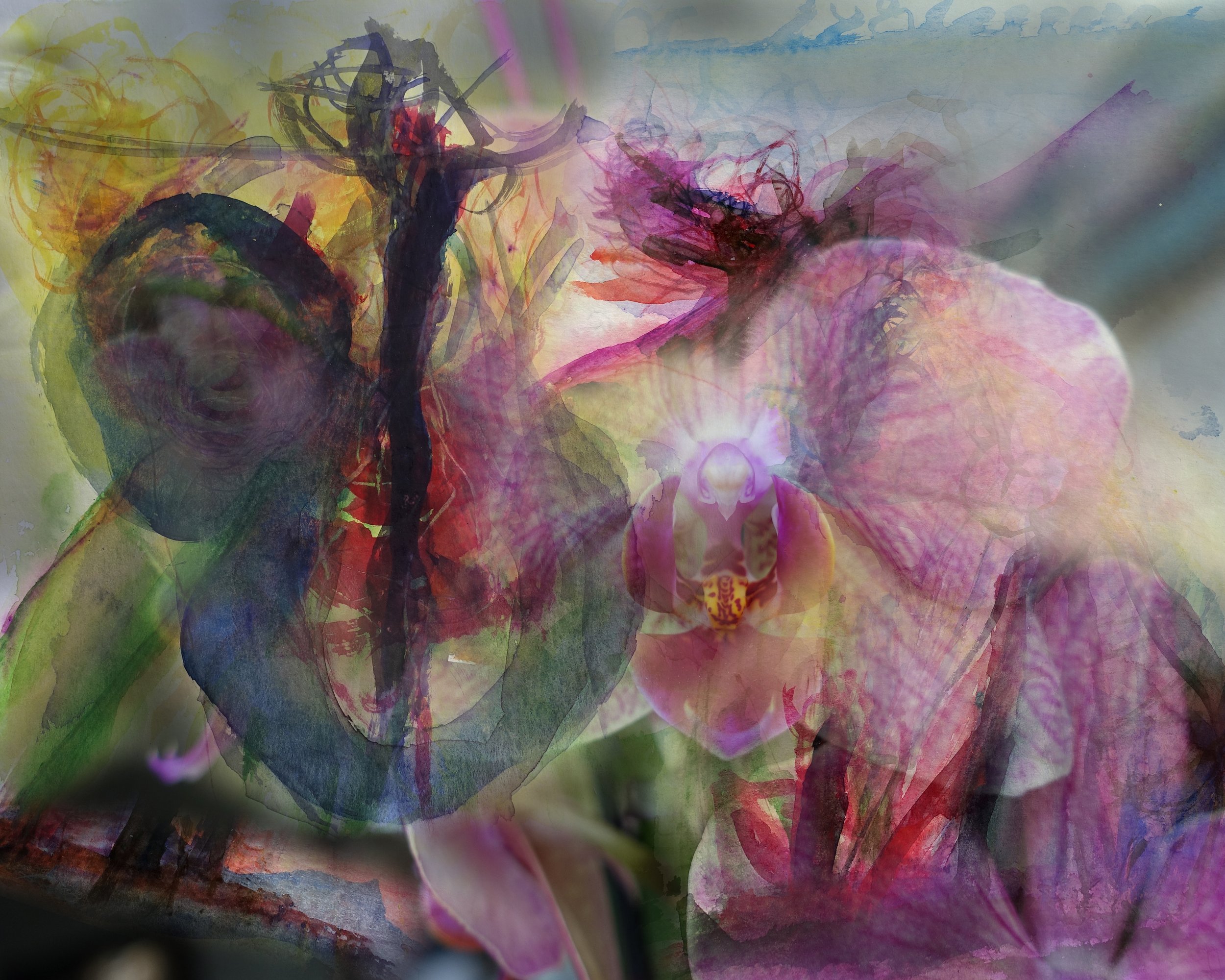 orchid3.jpg