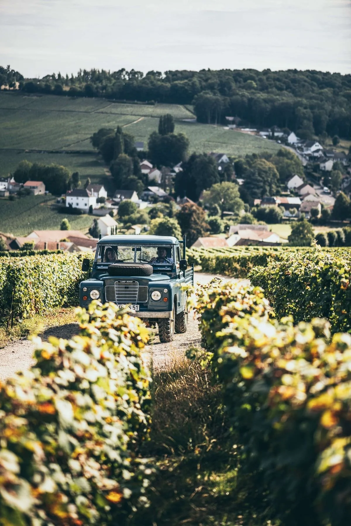 Champagne vernieuwd, ze moeten wel 