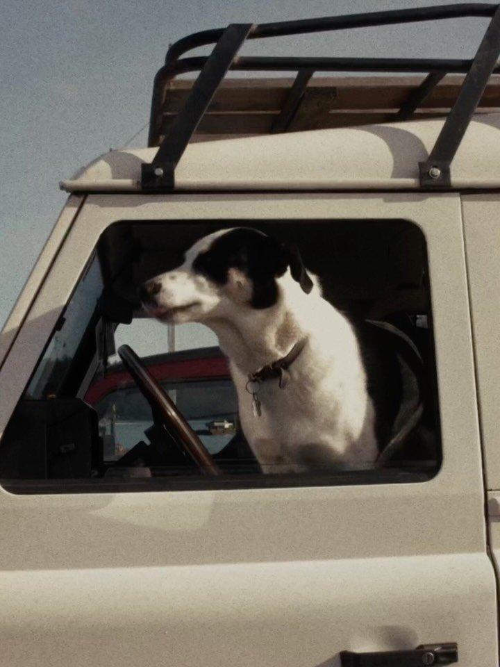 Our second single (and title track) off our forthcoming LP, &lsquo;Temper&rsquo; is out everywhere today.
Link in bio.

Production &amp; mix by @adamparkinson_audio 
Engineered by @therealmattgauthier 
Recorded at @thearcrecordingstudio 
Mastered by 