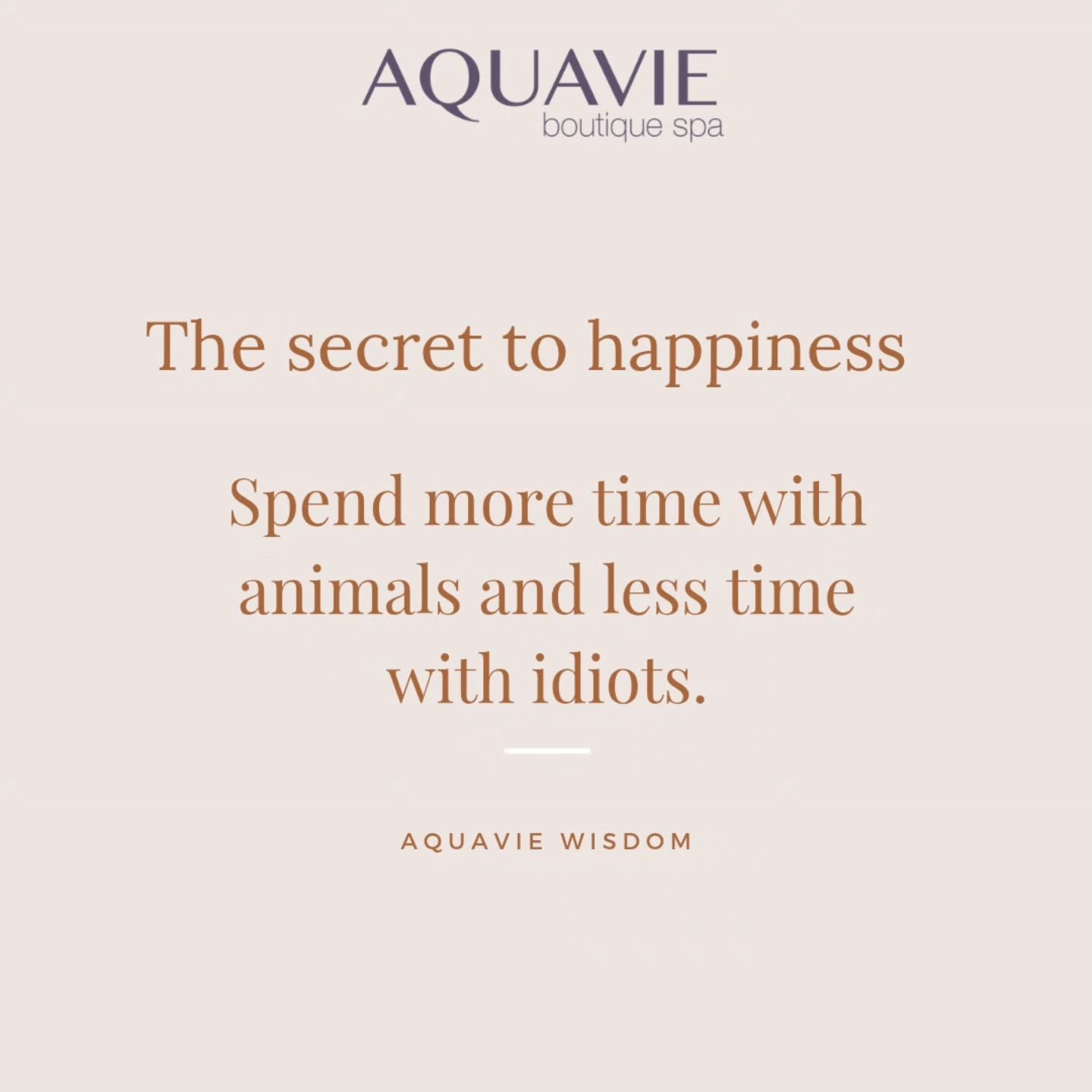 Happy Bank Holiday Weekend Aquavievers 🐾🐾 

We are CLOSED today (Friday), but reopen tomorrow at 9am.

#AquavieSpa #fridaywisdom❤️ #moredogslessnobs