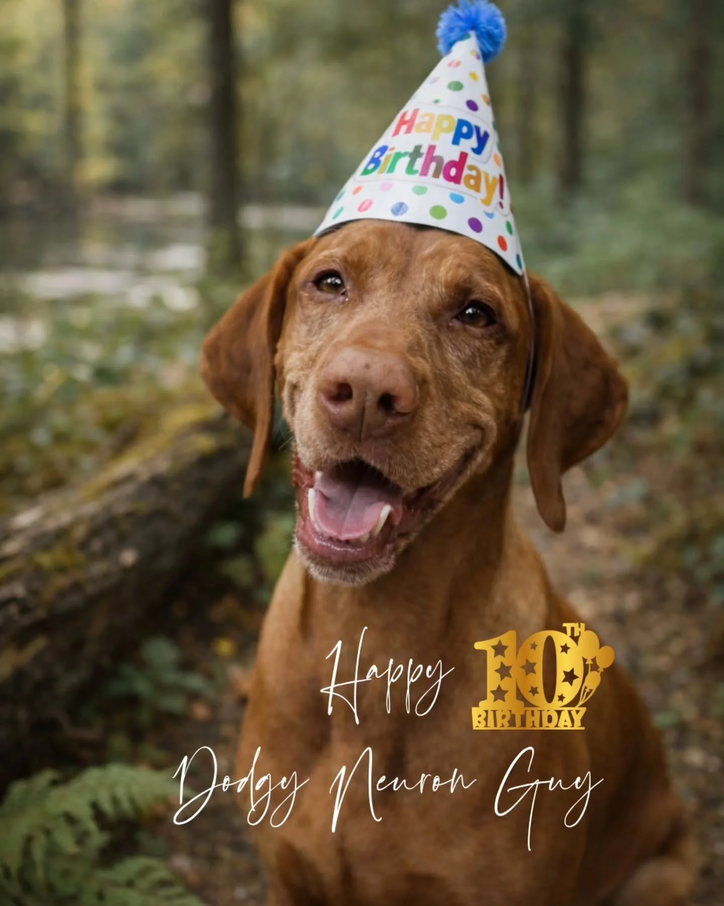 H A P P Y  B I R T H D A Y  D O D G Y 
 N E U R O N  G U Y 🎂

(Entertain me Tonbridge, I don't have kids)

He may have given me grey hairs, forced me to put child locks on the fridge and all the food cupboards in the house, cost me more than an Asto