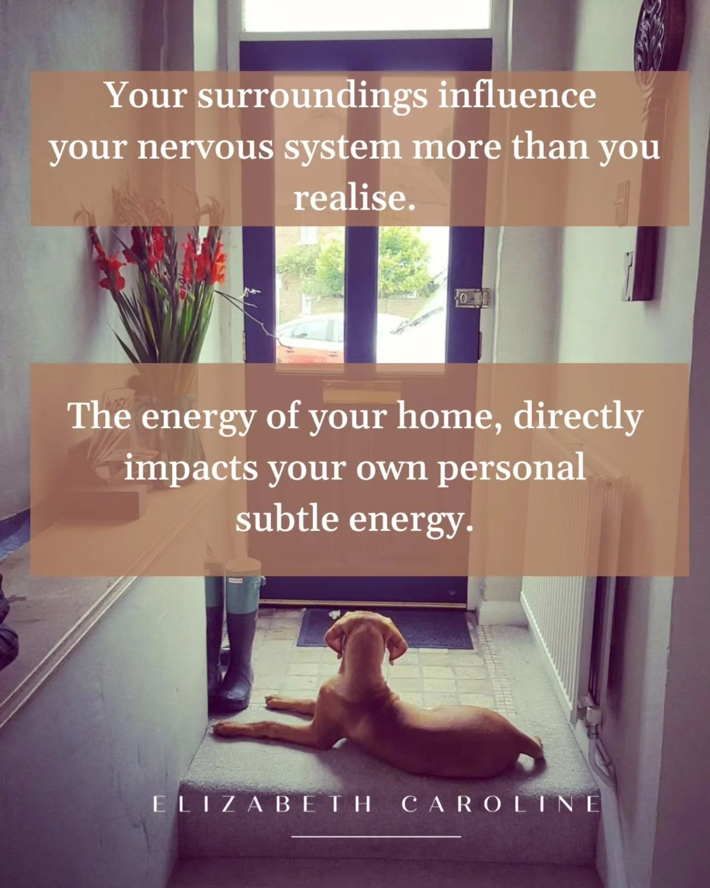 TIDY HOUSE, TIDY MIND 🧘&zwj;♀️

Some Monday 'Monk Magic' for you. Spreading some more eastern wellness tips to Tonbridge 🕉

What you surround yourself with&hellip; shapes you more than you realise ✨️

Here's what I've learned from the monk about ho