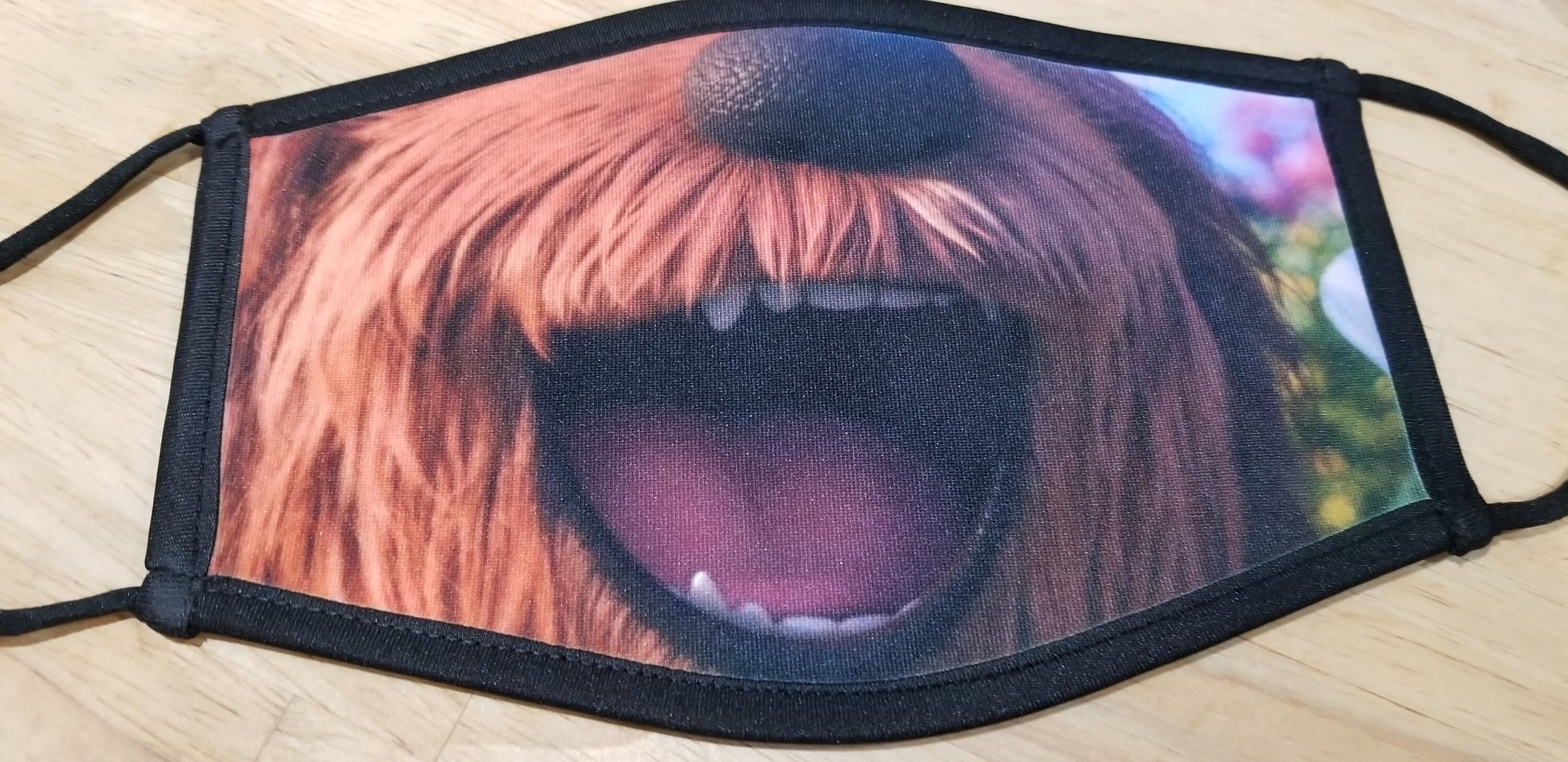 https://i.etsystatic.com/10966906/r/il/07aef3/2676235926/il_fullxfull.2676235926_7n9u.jpg