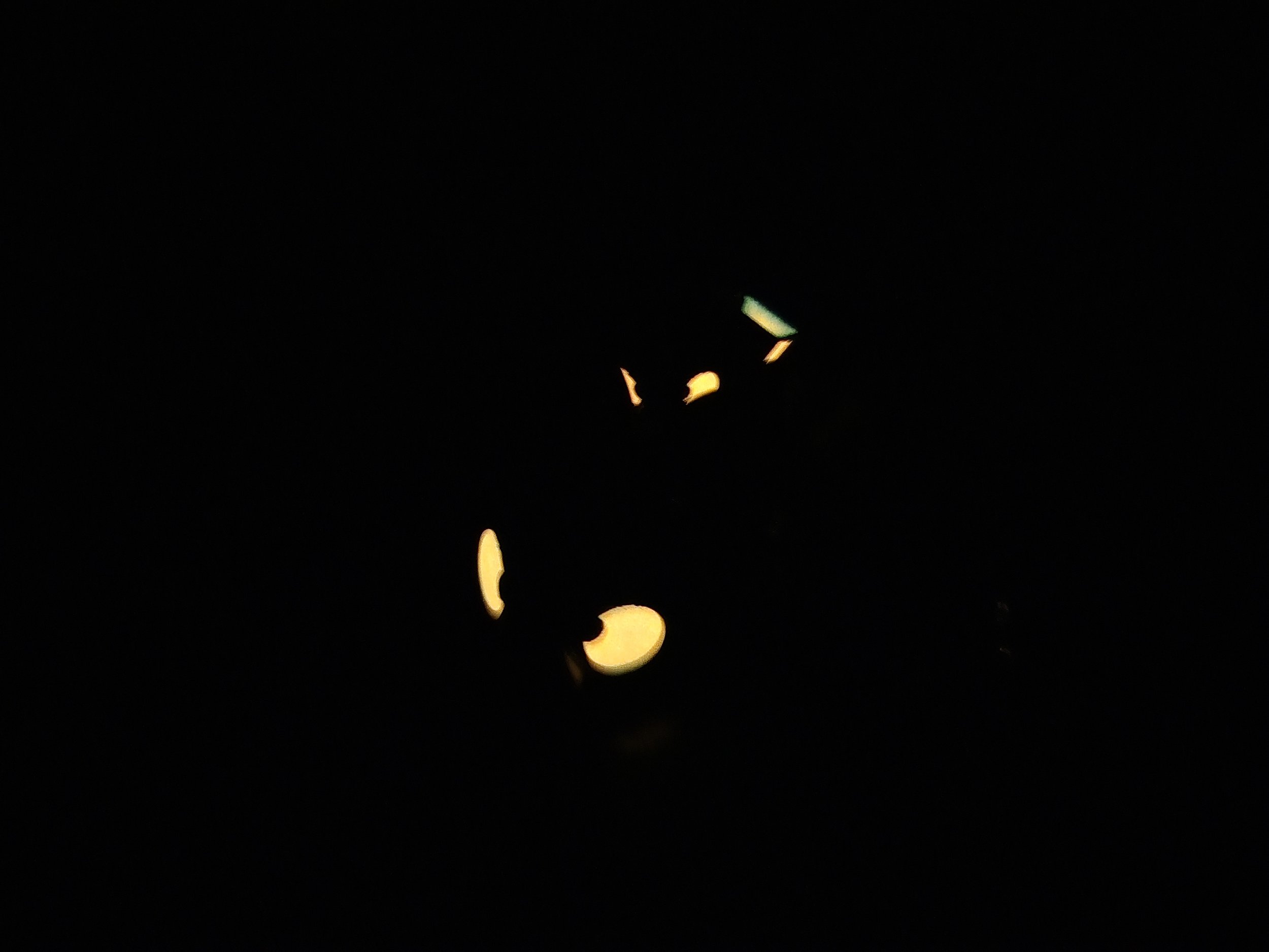 20260909_195555.jpg