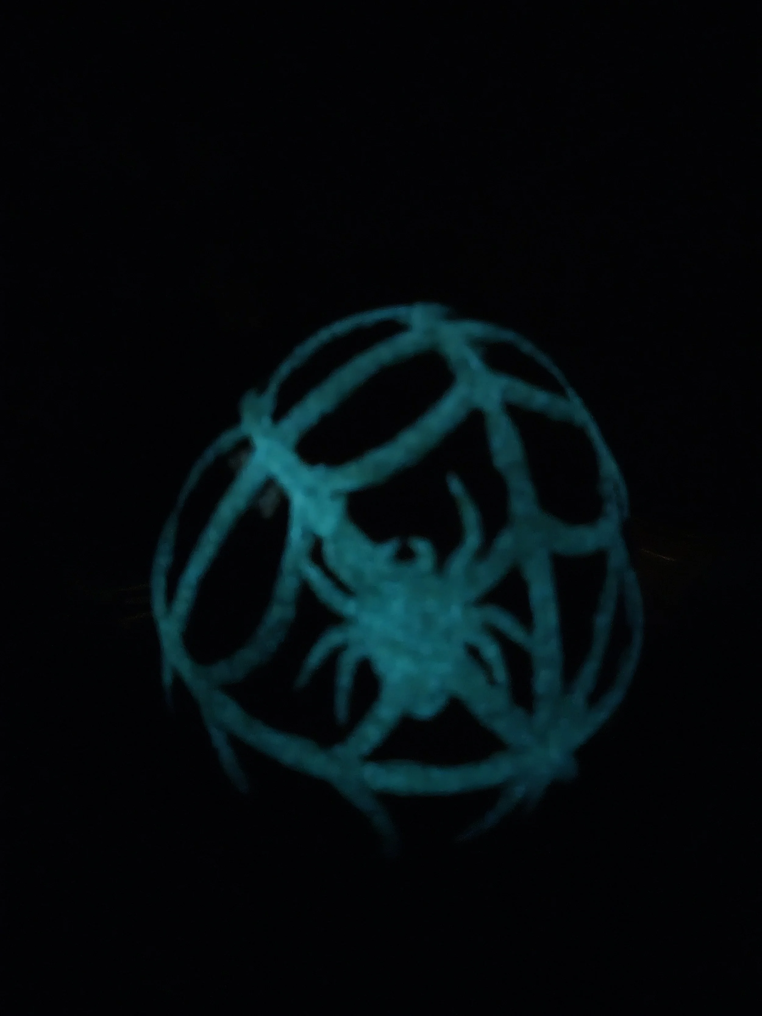 20260906_220743.jpg