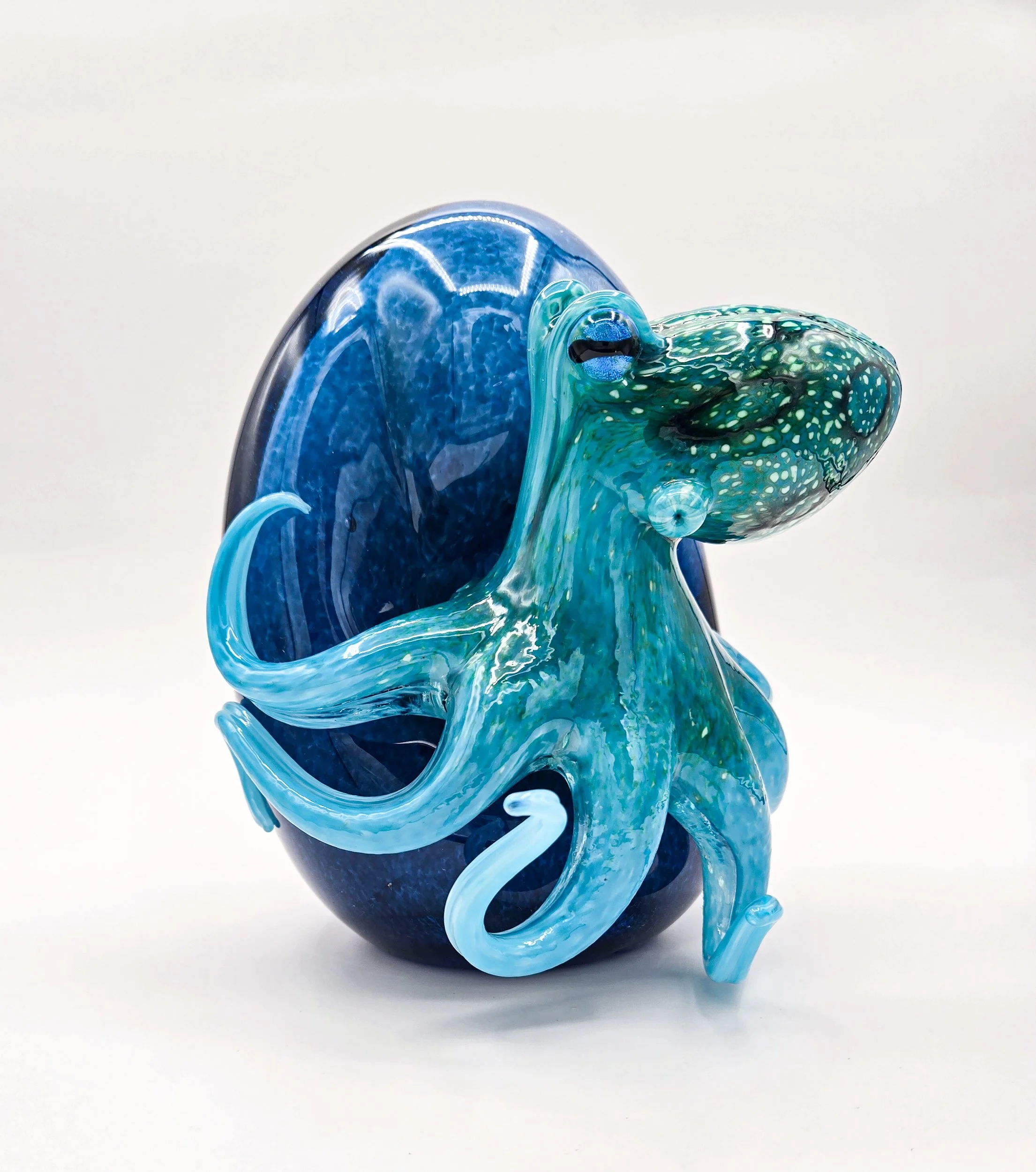 Shane Dorey - Curiosity.jpg