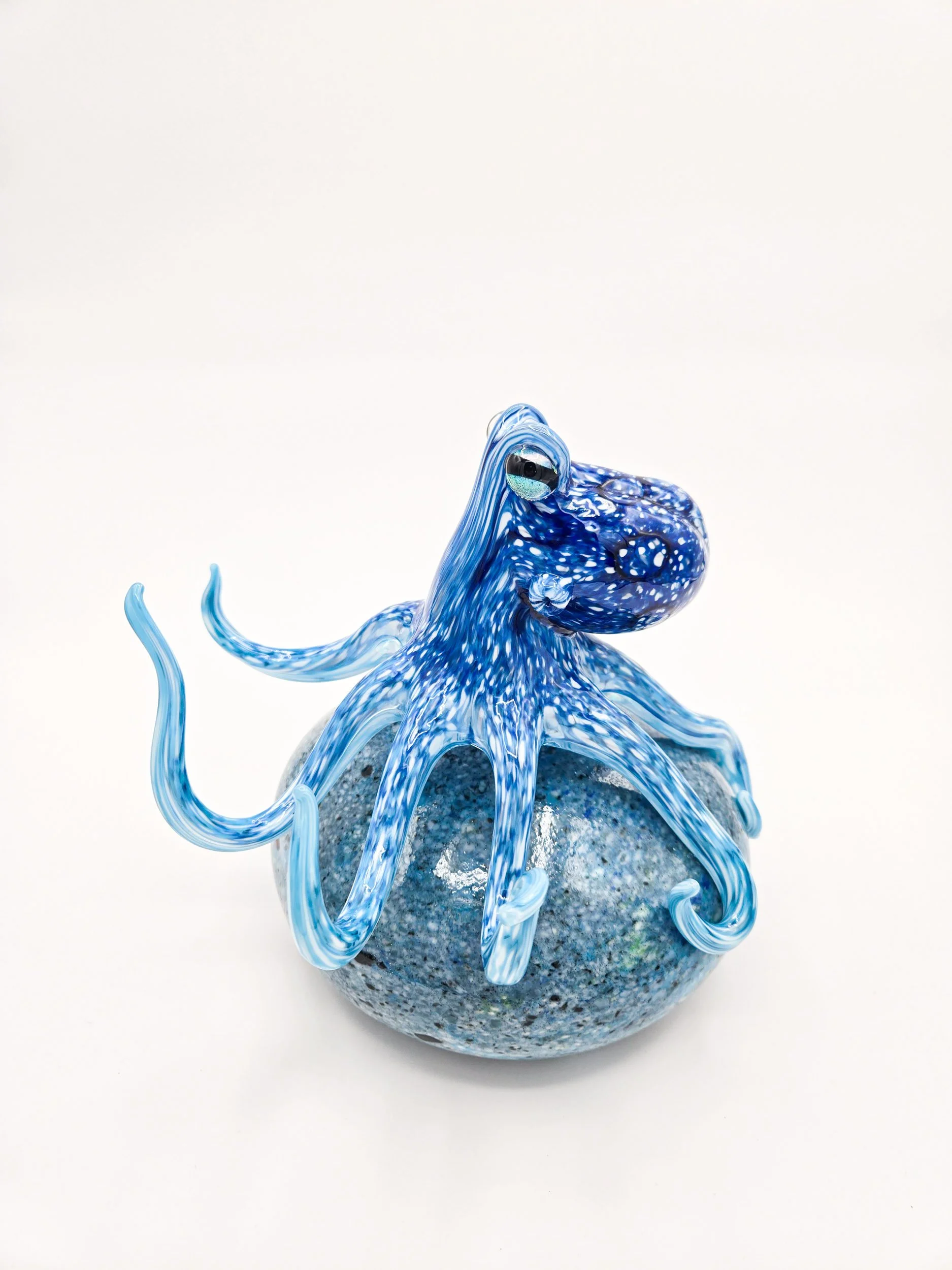 Shane Dorey -  explore-1.jpg