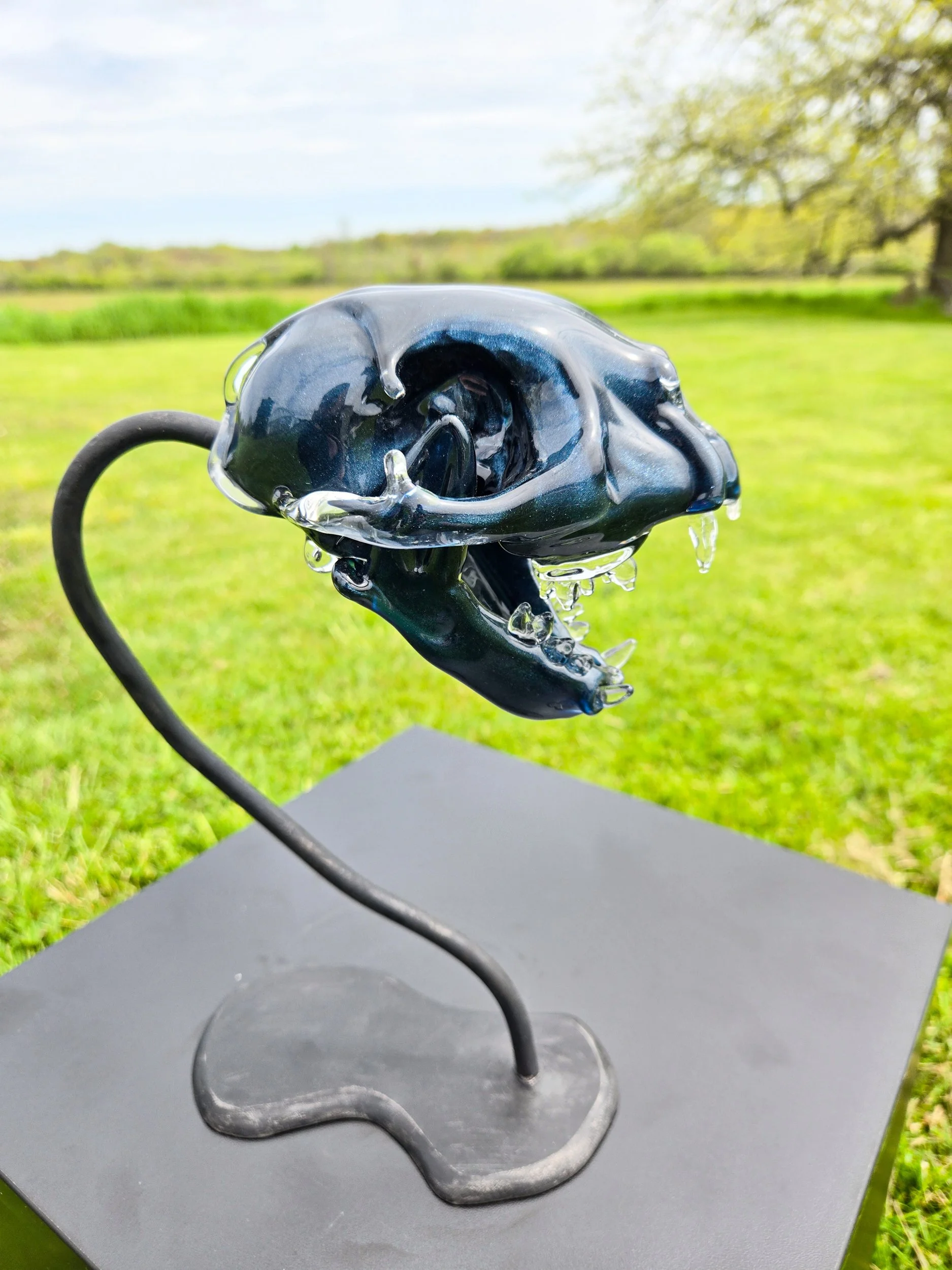 shane Dorey -  riverst-17.jpg