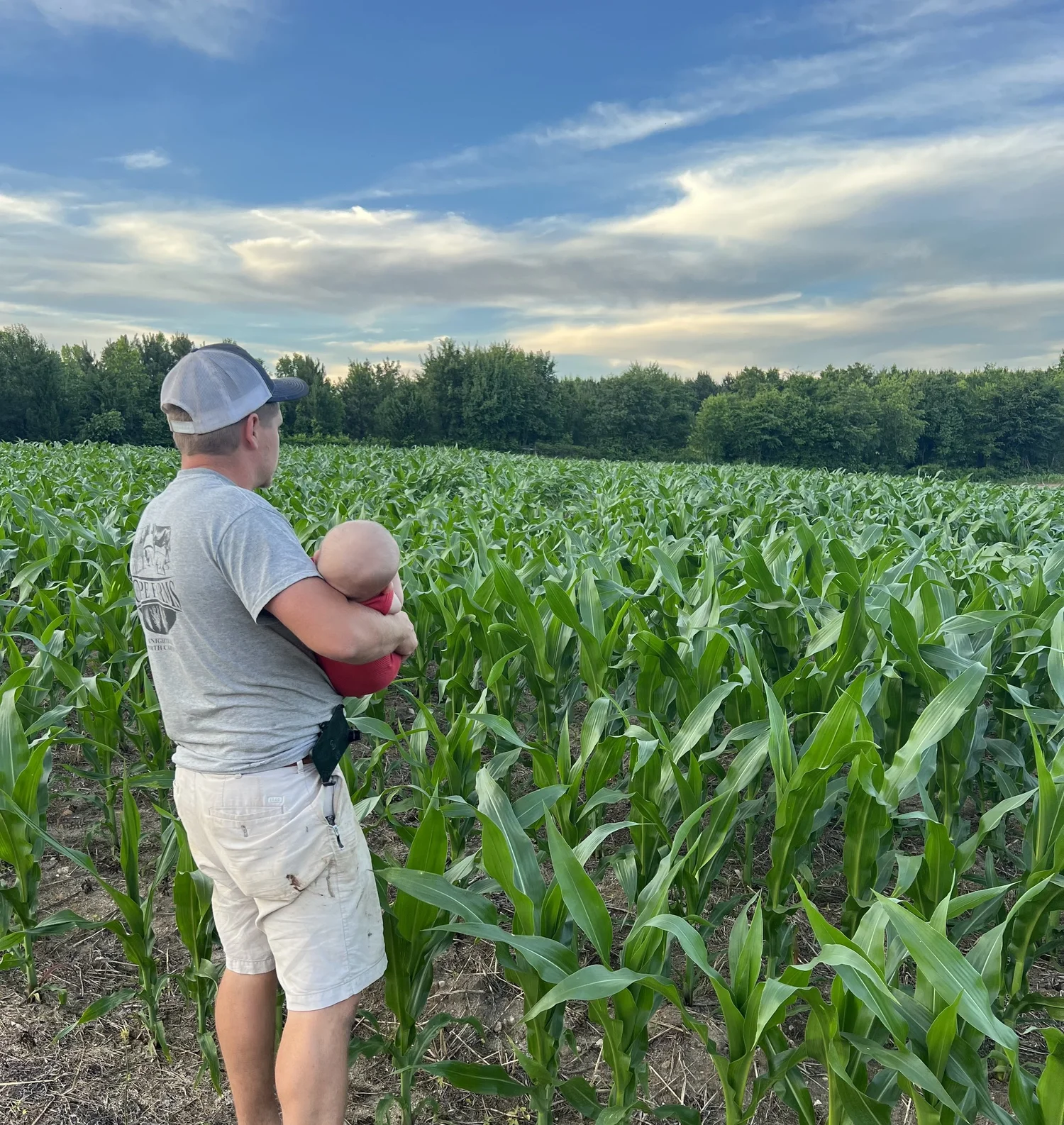 Contact Knightdale, NC — Pope Farms