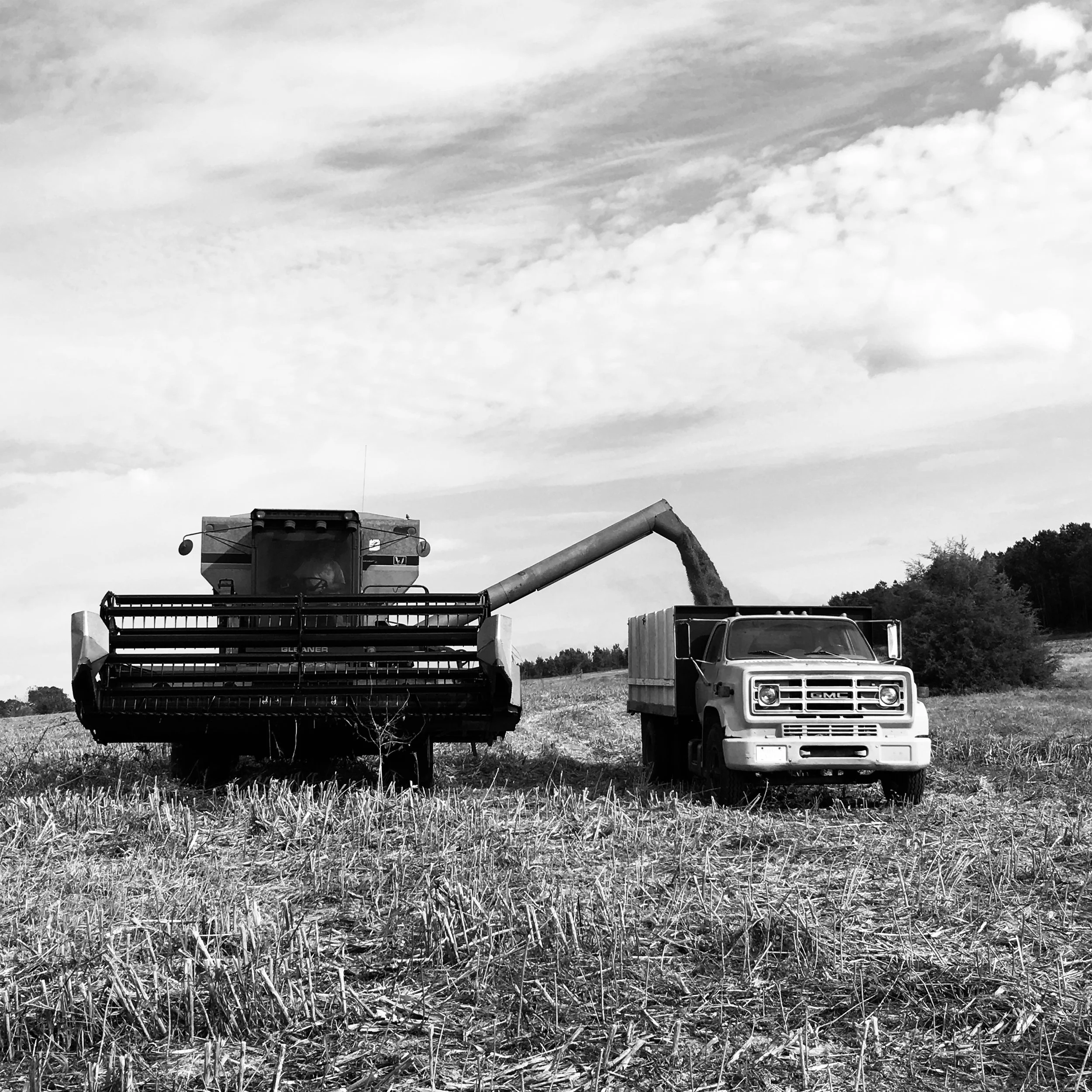 Contact Knightdale, NC — Pope Farms