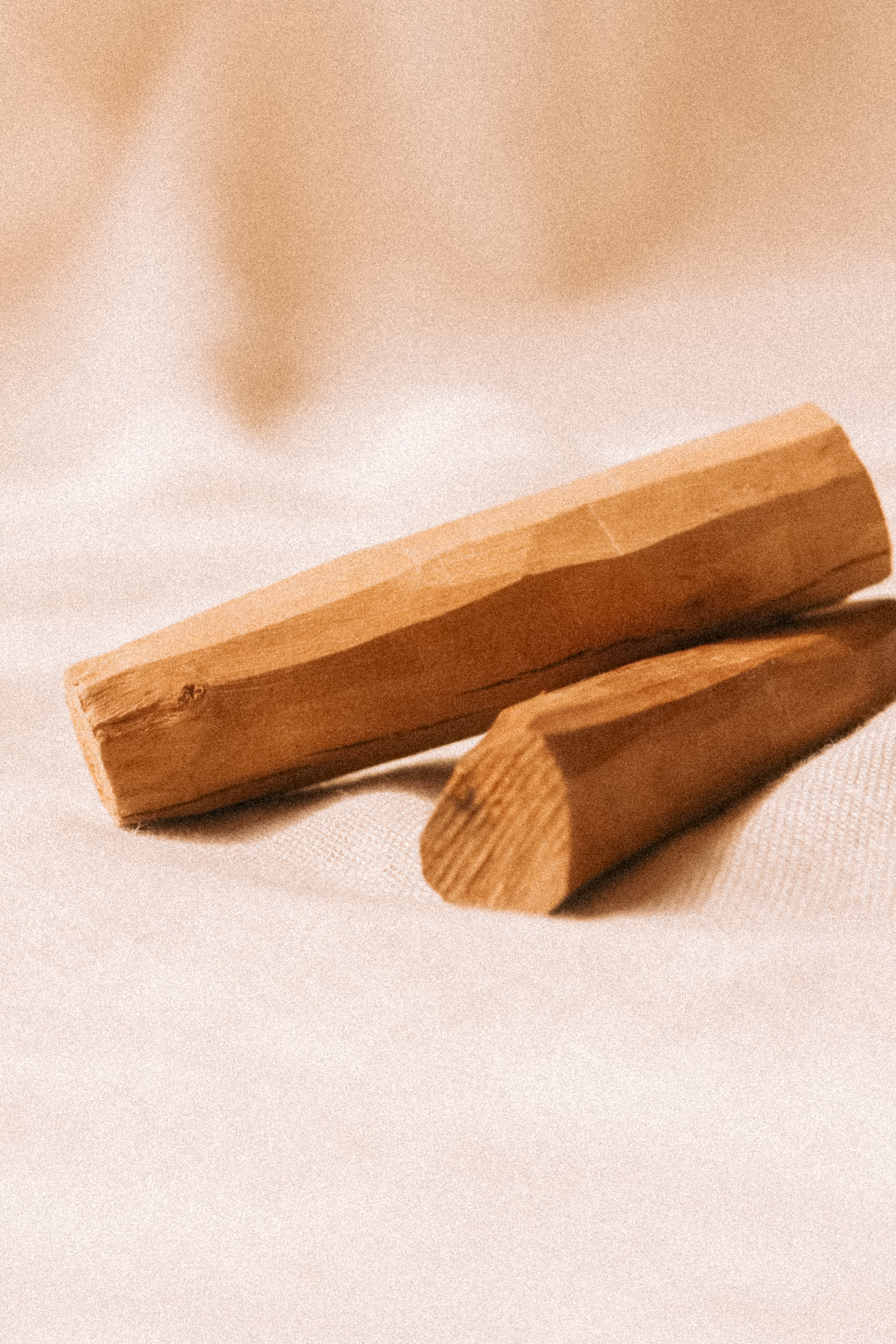 IMG_6647.png