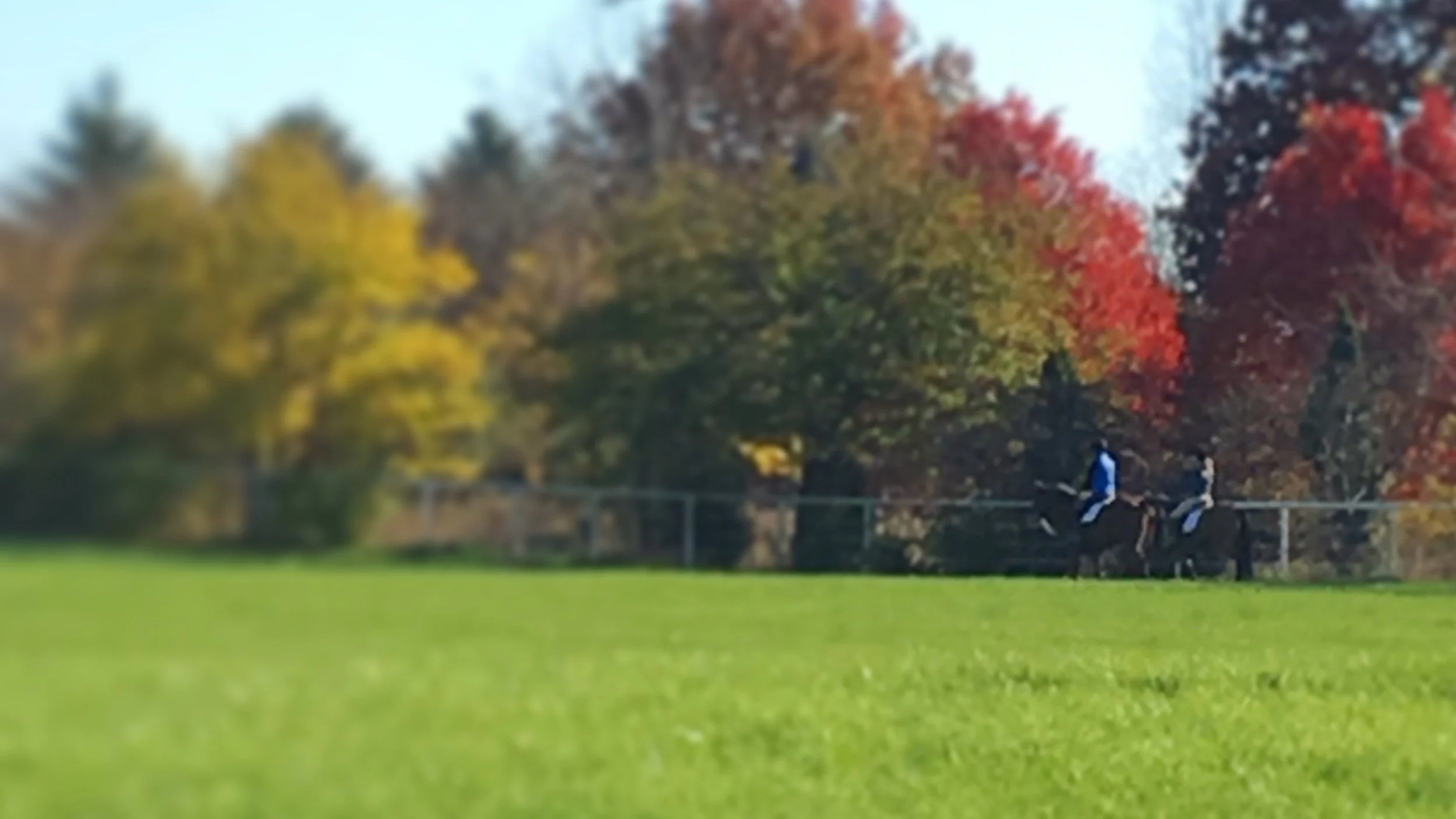 Contact — Dunham Woods Farm Elgin, IL