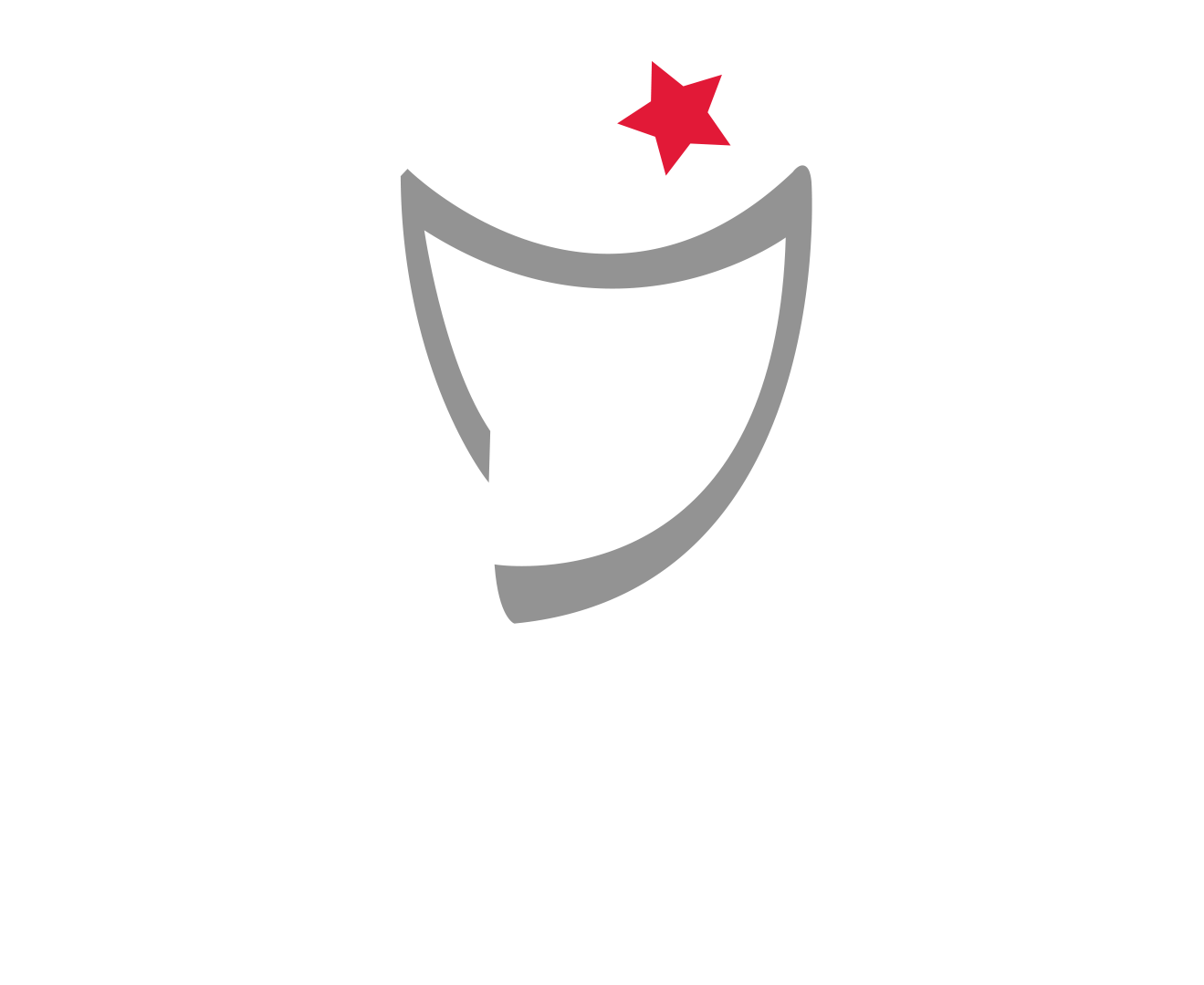 Logo of SuperLig featuring a stylized shield with a red star on top and the word SuperLig underneath.