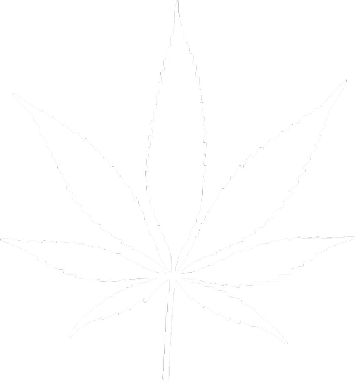 Cannabis Bay