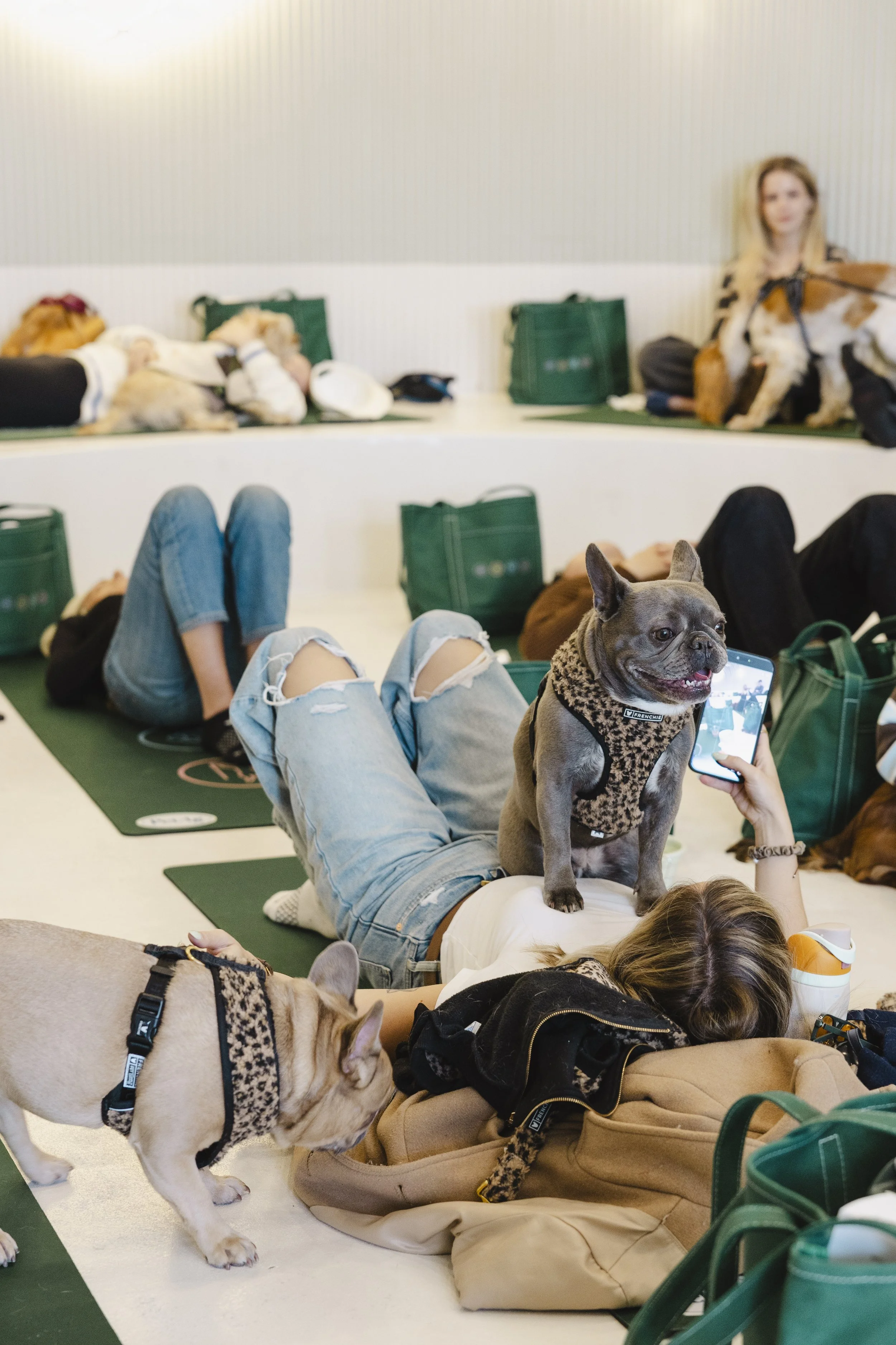 StyleShutterAgency_PETAGEvent_Edits-56.jpg