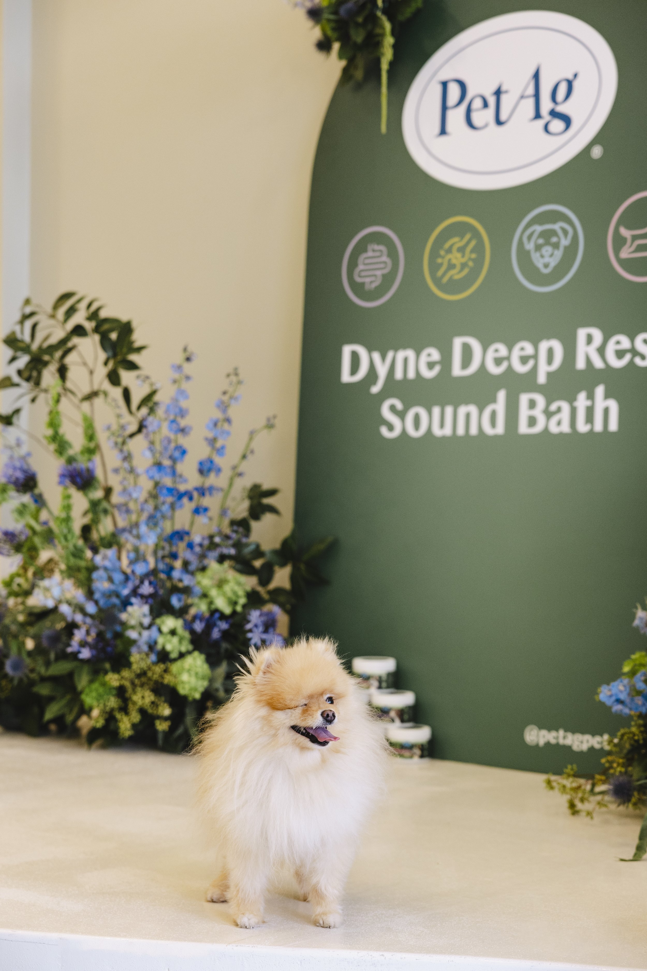 StyleShutterAgency_PETAGEvent_Edits-113.jpg