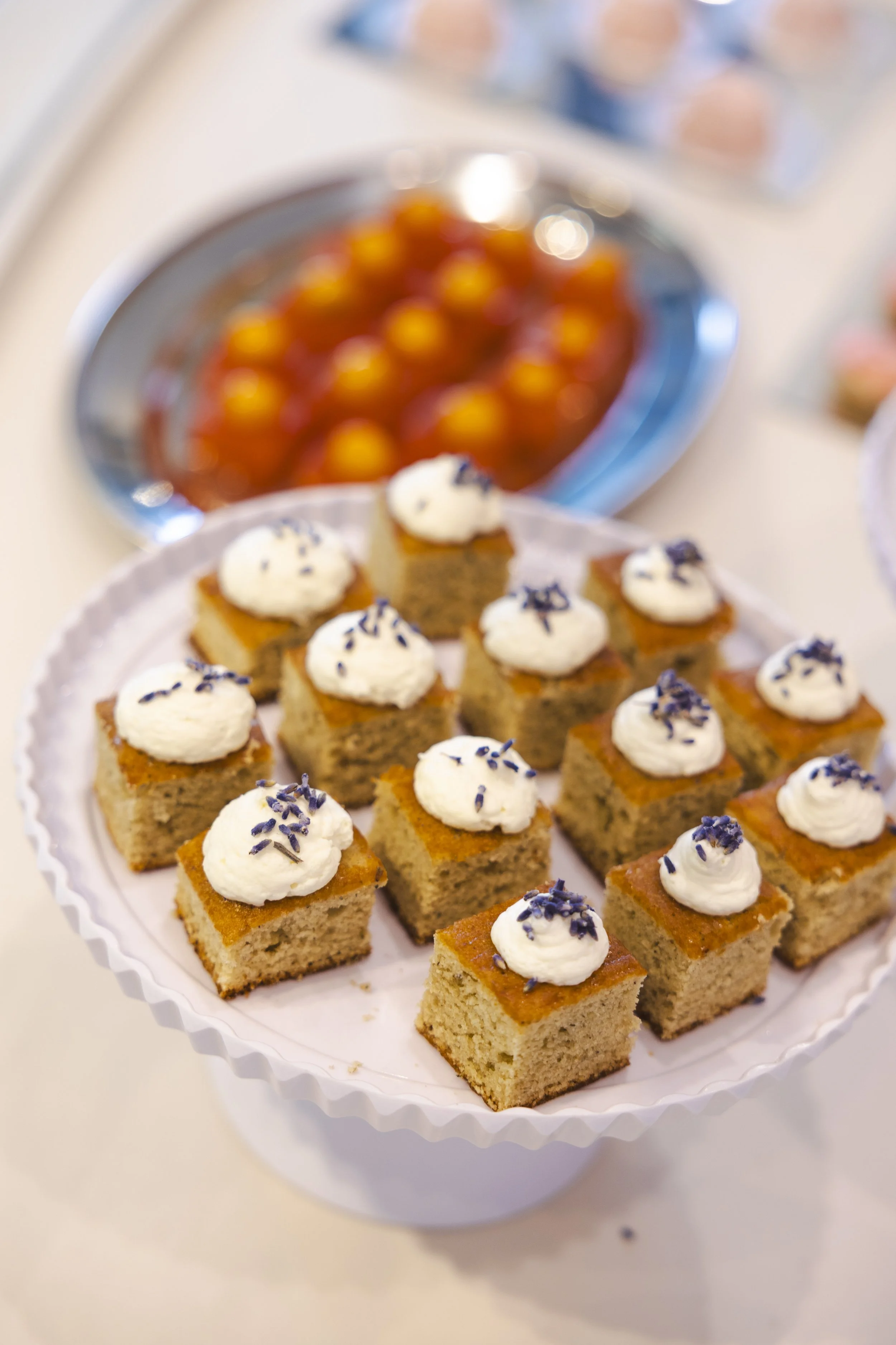 StyleShutterAgency_OLLYEvent_Edits-146.jpg