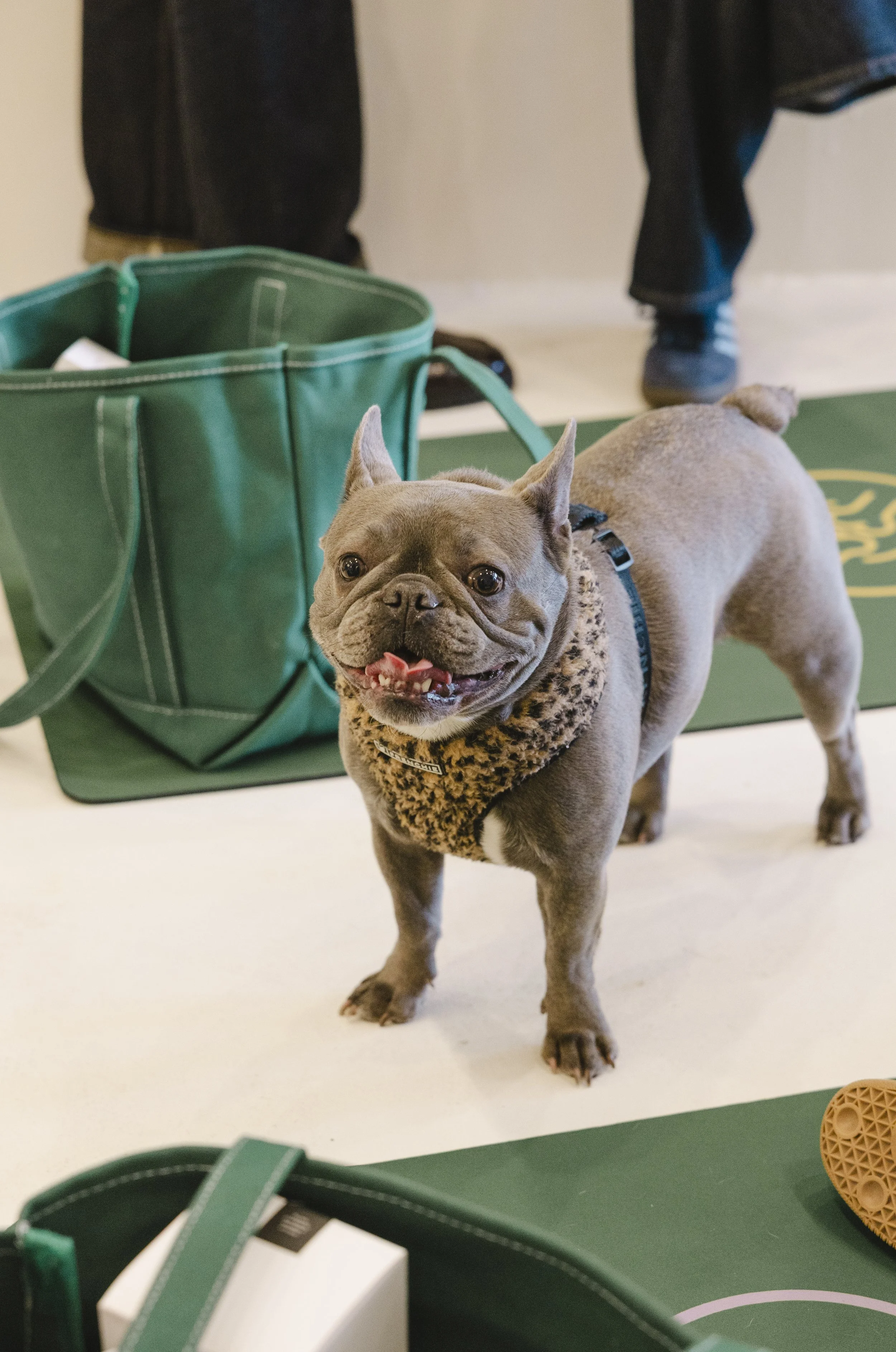 StyleShutterAgency_PETAGEvent_Edits-22.jpg