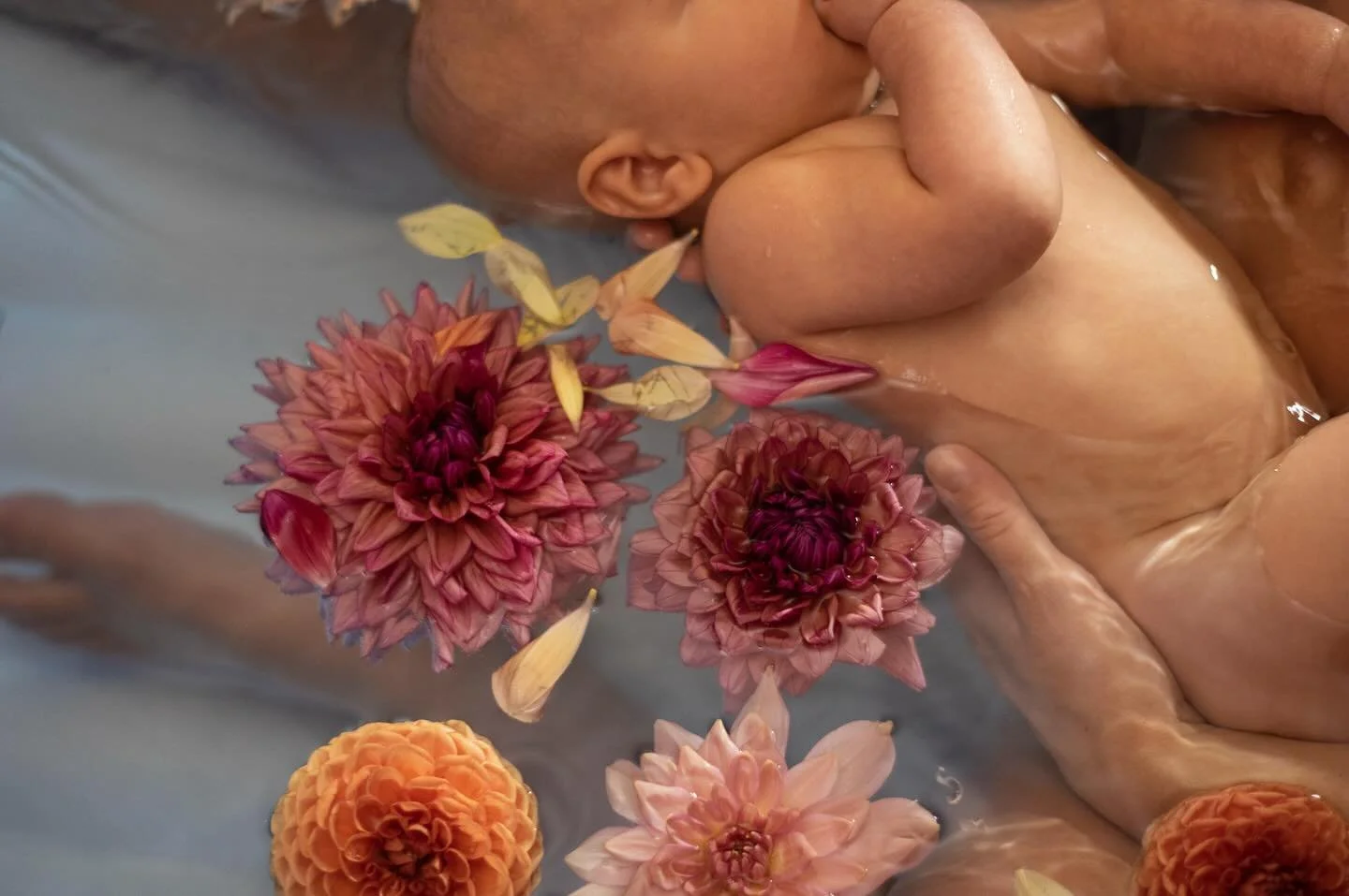 Dipping my toe into the birth photography world. So much fun playing around with the camera and capturing these little details. 

Thank you @kristinaastromystic for modelling,  @kristinamiamoe for inviting us to capture your precious boy and @evarose