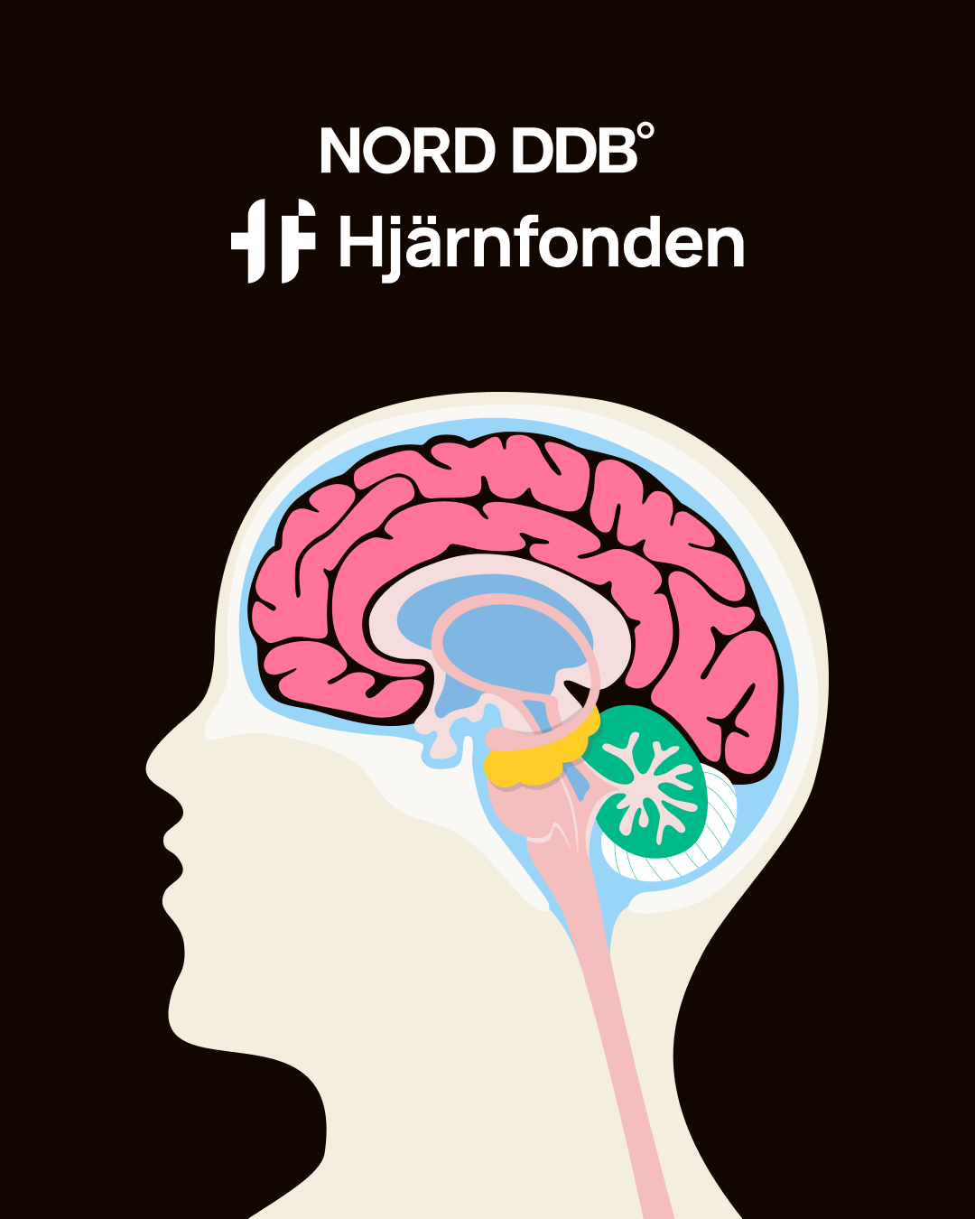 illustration, 2d illustration, illustratör, illustrator hjärnfonden nordddb, medical illustration