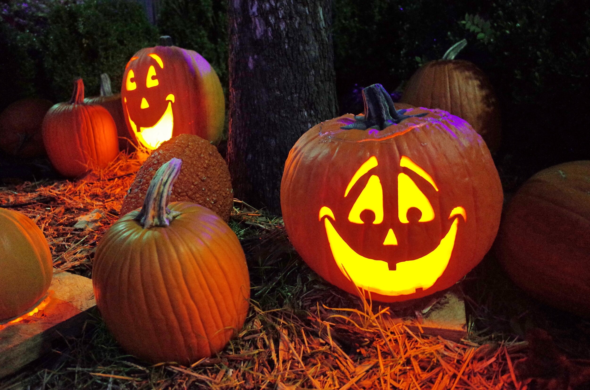 Halloween Treat Street Outreach
