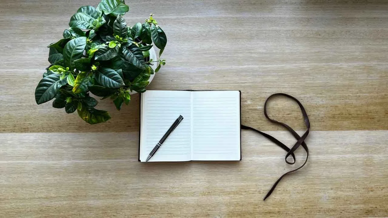 CAYOGA Scuola Di Yoga Online Italia-3.JPG