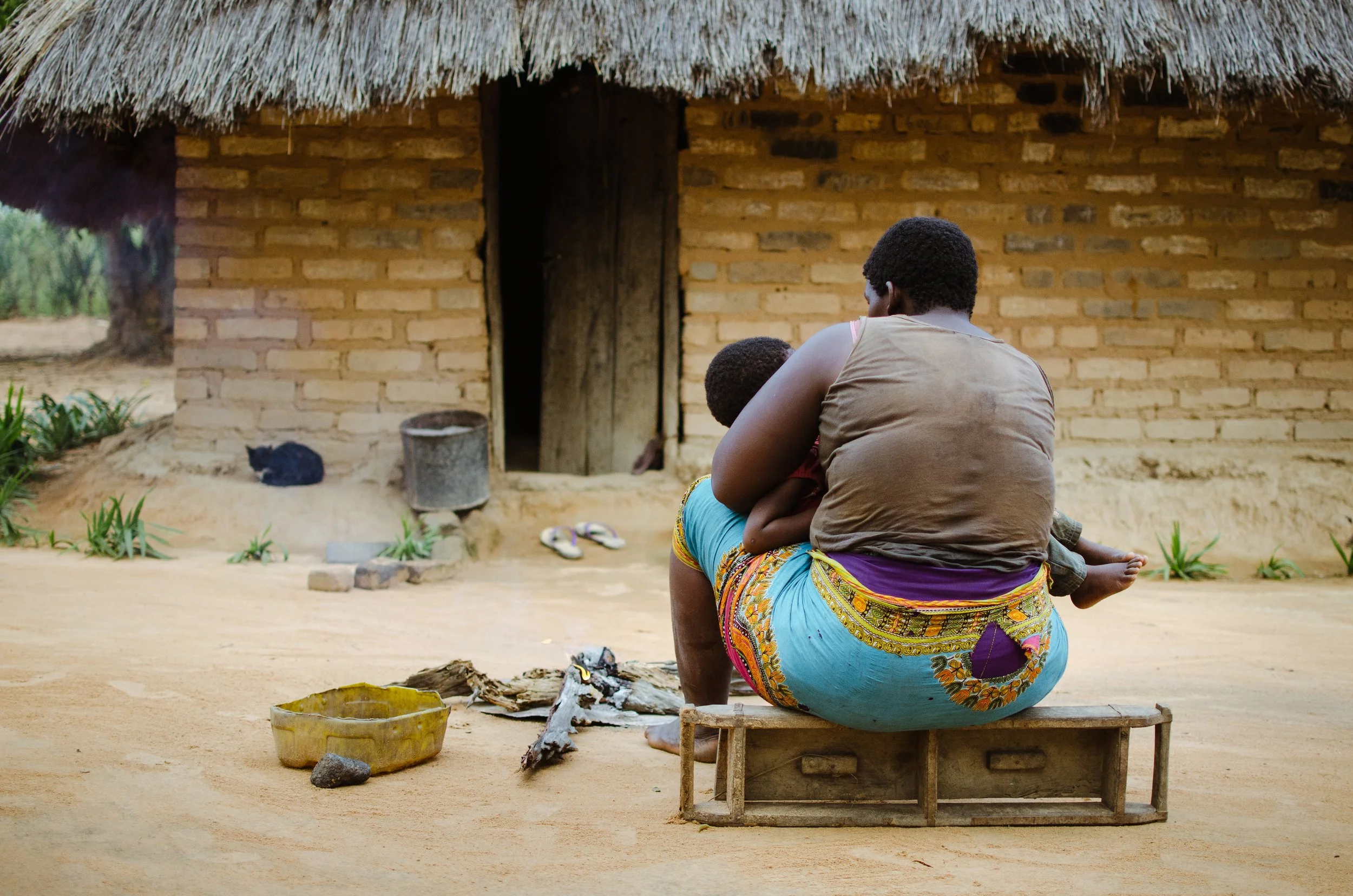    For he shall be as a tree planted by the waters, who spreads out its roots by the river, and shall not fear when heat comes, but its leaf shall be green; and shall not be careful in the year of drought, neither shall cease from yielding fruit.      Jeremiah 17:8.   