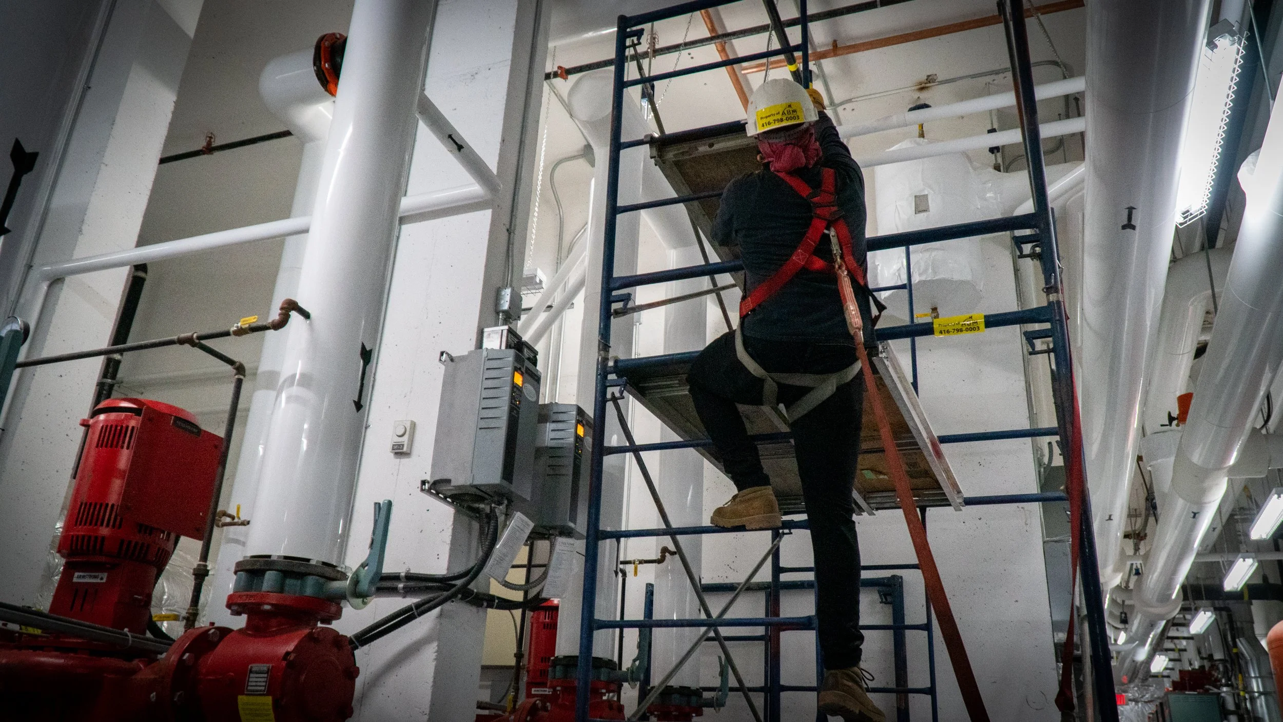 Copy of DSC03986.jpg