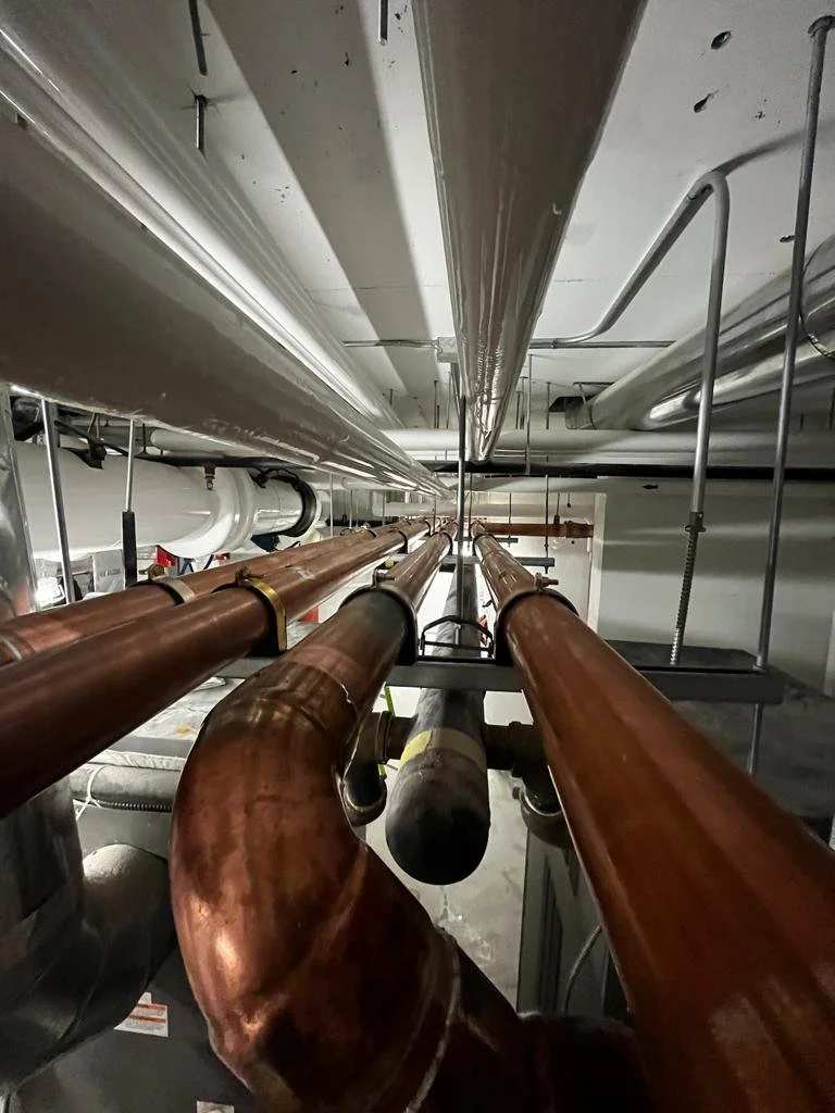 Copy of 708e3851-6c45-4130-a0f2-5ef11ea9b339.JPG