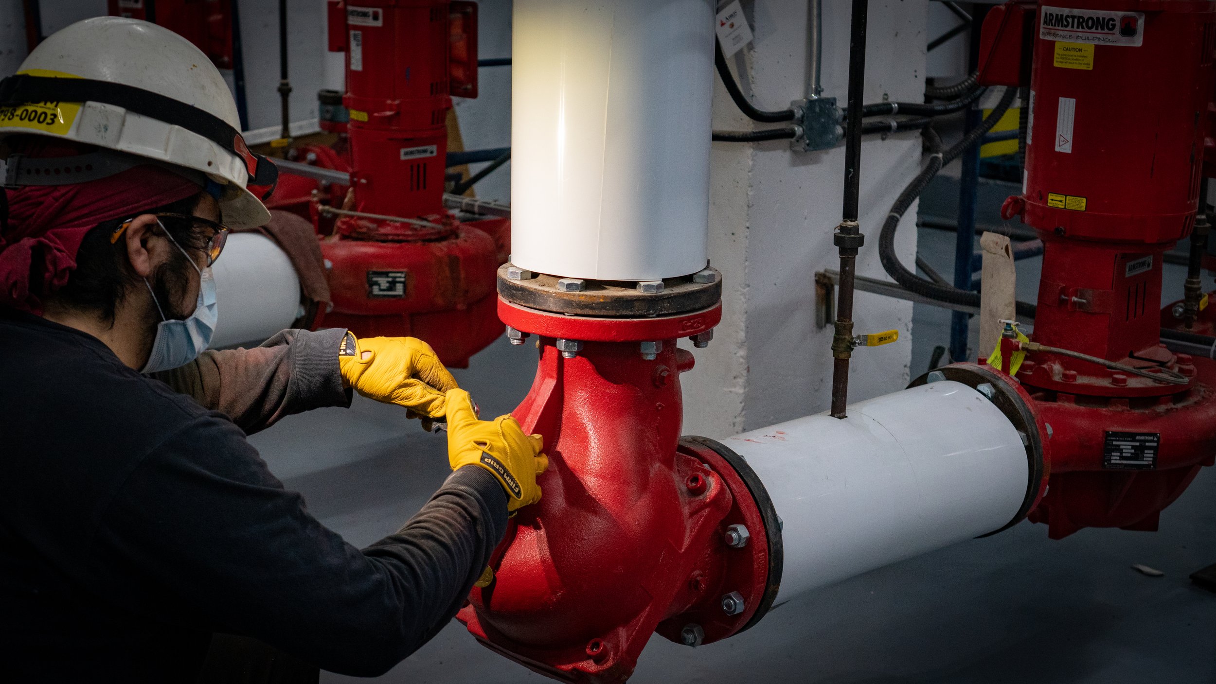 Copy of DSC04025.jpg