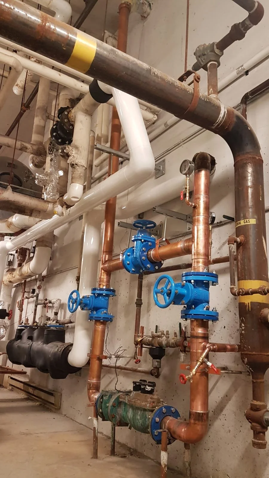 Copy of f1ebc04f-eb8e-44f0-96ac-90399813a635.JPG