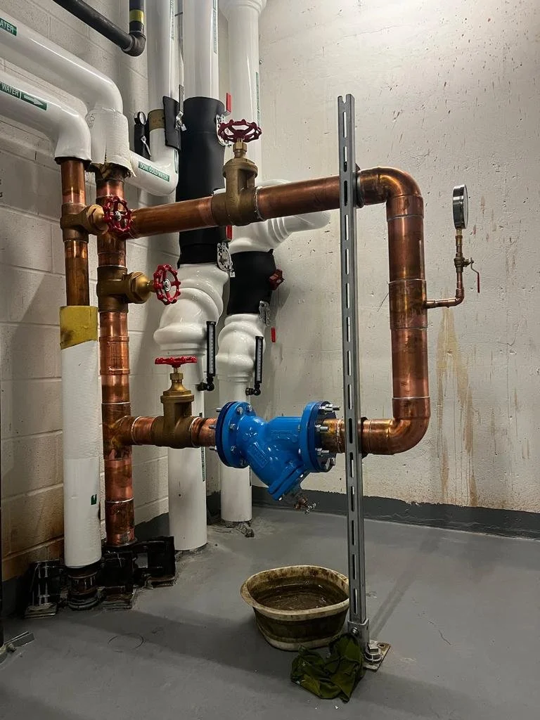 Copy of a911e811-d4b0-4328-b97c-f2e307102aa0.JPG