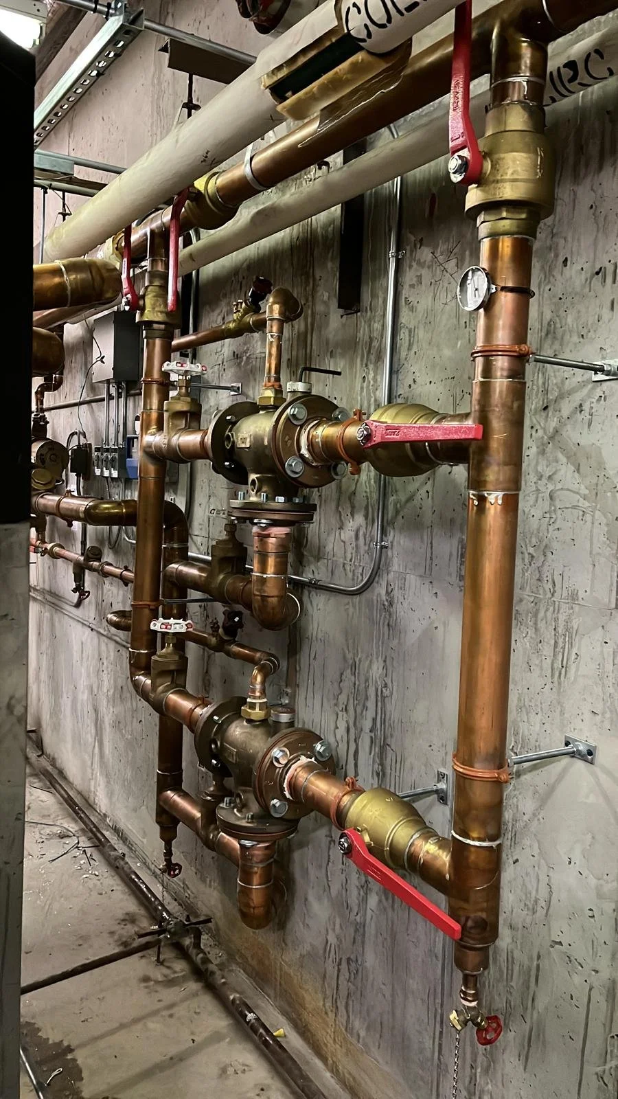 Copy of e35726a6-f260-4dd0-a814-45cd82a9b703.JPG