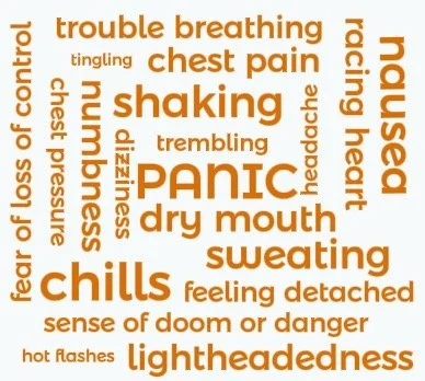 Word cloud of panic attack symptoms with 'PANIC' in the center, surrounded by terms such as chest pain, shaking, sweating, chills, nausea, racing heart, dry mouth, dizziness, numbness, trouble breathing, lightheadedness, and sense of doom.