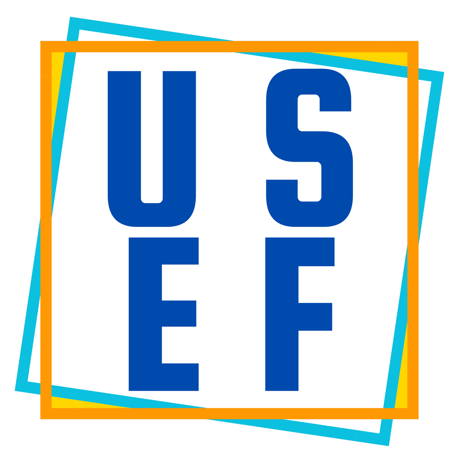 Ummatic Services &amp; Equity Foundation