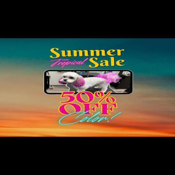 Tailored Tails of Lubbock Lubbock's Best in Dog Grooming, Playcare