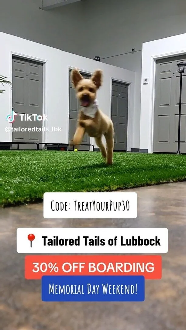 Tailored Tails of Lubbock Lubbock's Best in Dog Grooming, Playcare