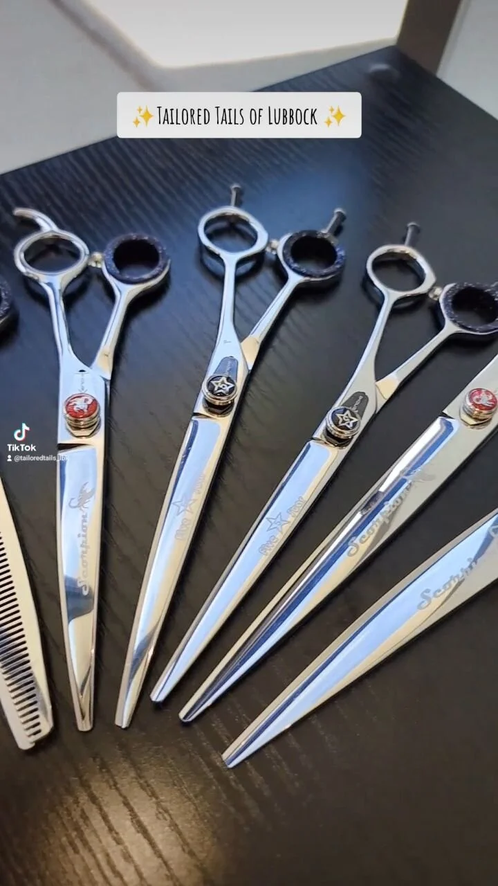 Tailored Tails of Lubbock Lubbock's Best in Dog Grooming, Playcare