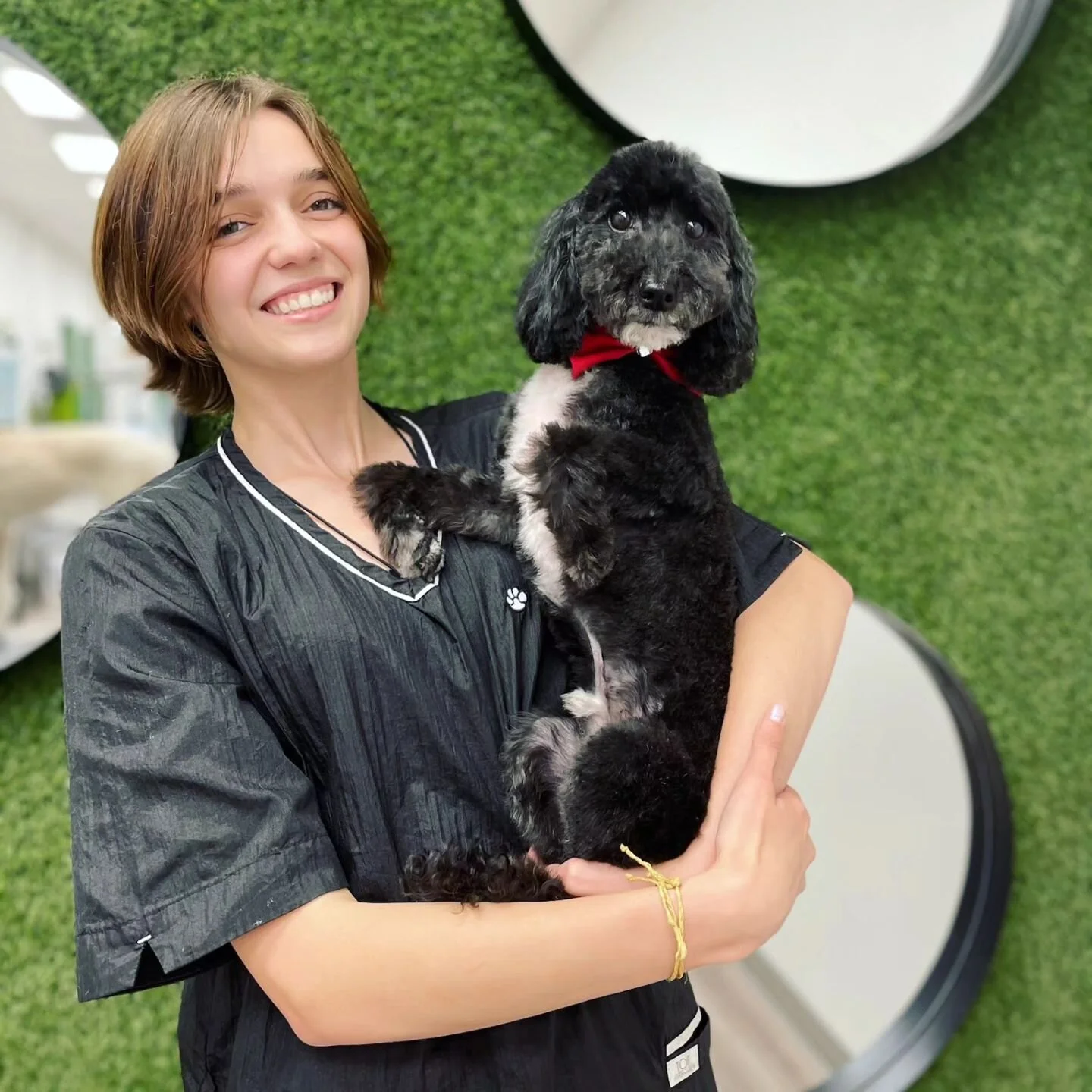 Tailored Tails of Lubbock Lubbock's Best in Dog Grooming, Playcare