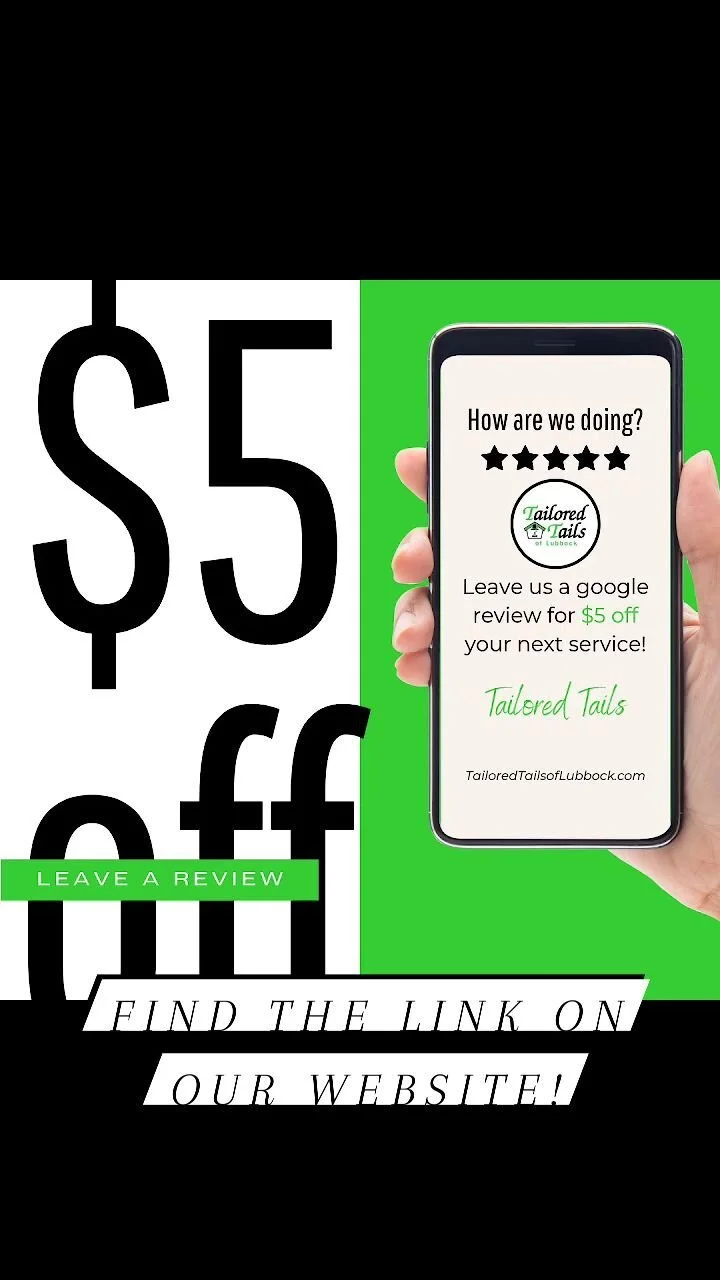 Tailored Tails of Lubbock Lubbock's Best in Dog Grooming, Dog