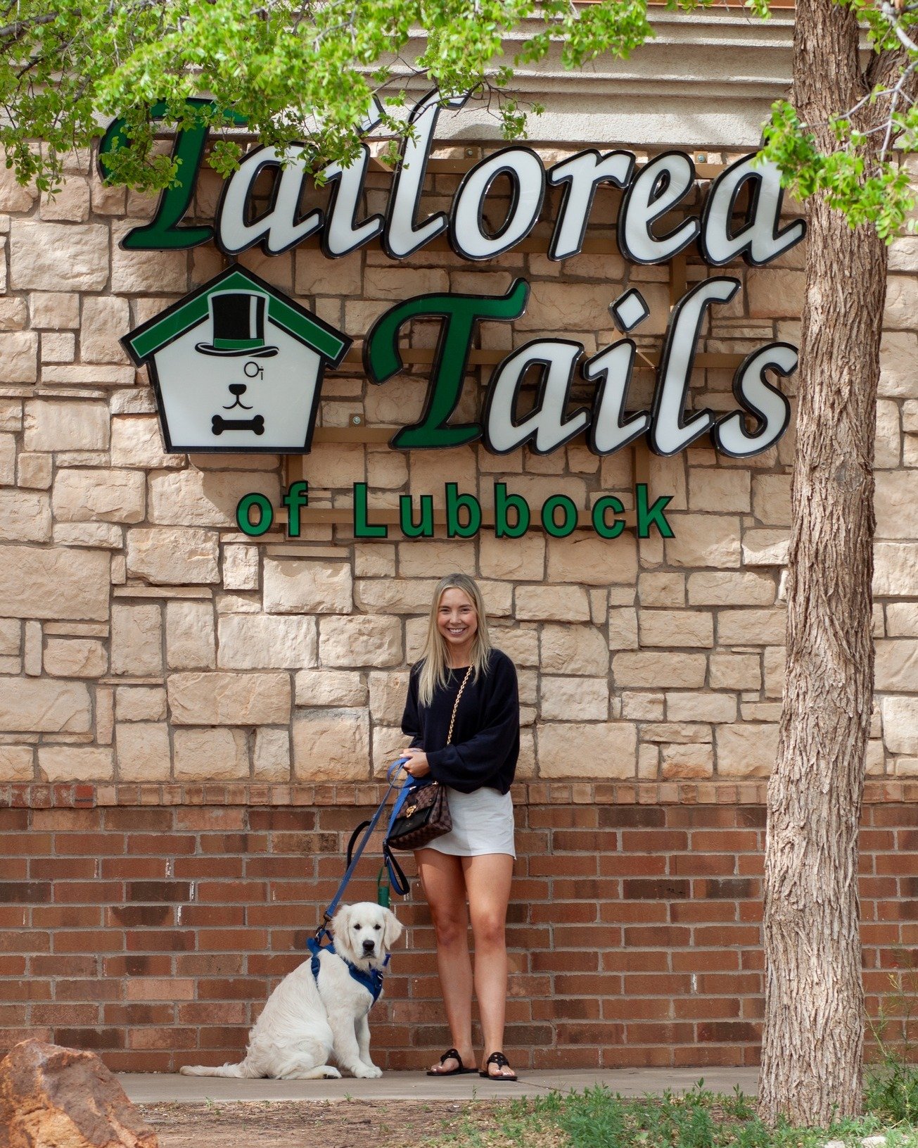 Puppy Alert! Puppies visit us all the time for their first groom, and it is truly an honor and a privilege that we at Tailored Tails of Lubbock take very seriously. We love watching their little curious minds take in all the sights, sounds, and smell