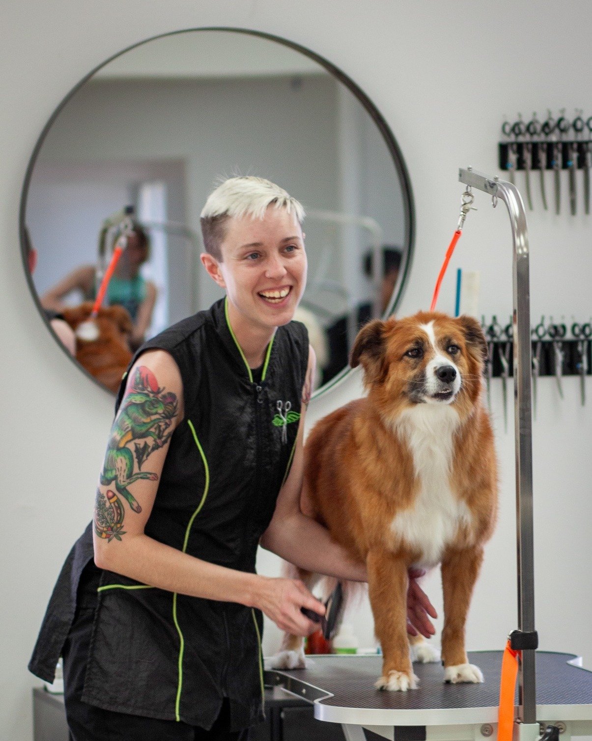 Smiles, wagging tails, and a job I adore &ndash; what more could a groomer ask for? 🐾😊 #GroomerLife #tailoredtailsoflubbock #doggrooming #Lubbocktx #lubbockdoggroomers