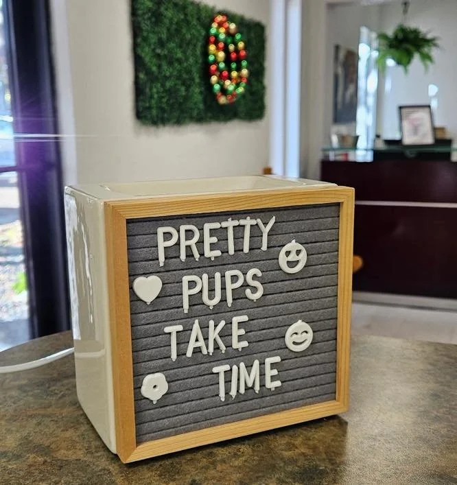 🐶 It&rsquo;s a work of art! 🐩
A big thank you to all our amazing clients for showing kindness and patience with our staff as we head into the busy holiday season!! 
We&rsquo;re so grateful for each of you!! 💚